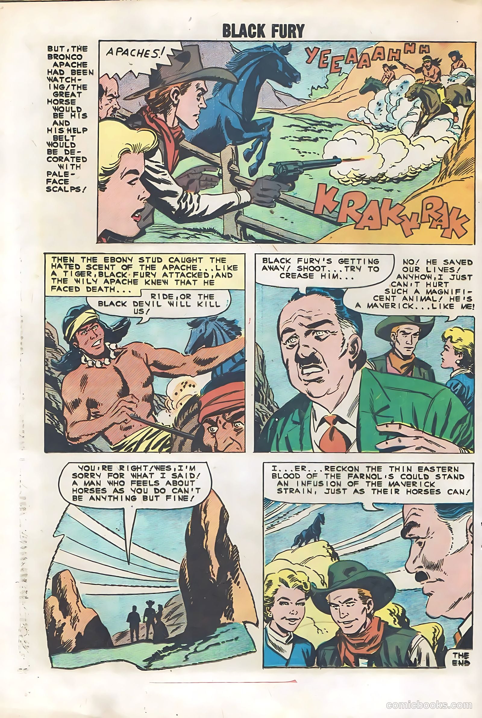 Black Fury #29 — page 20 of 36