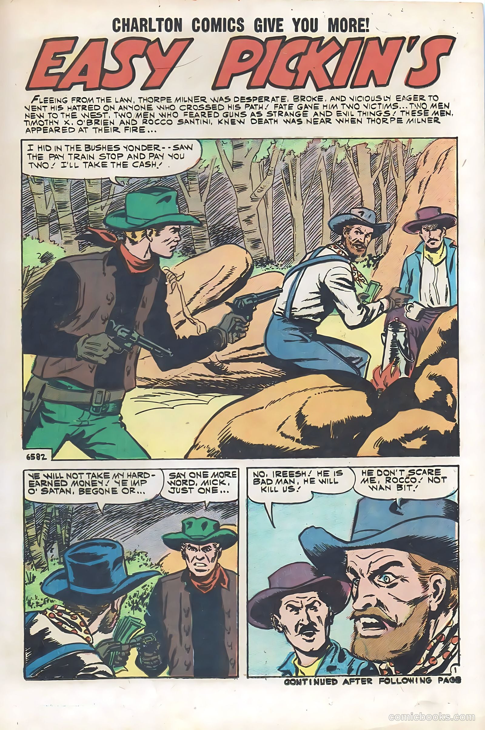 Black Fury #29 — page 21 of 36