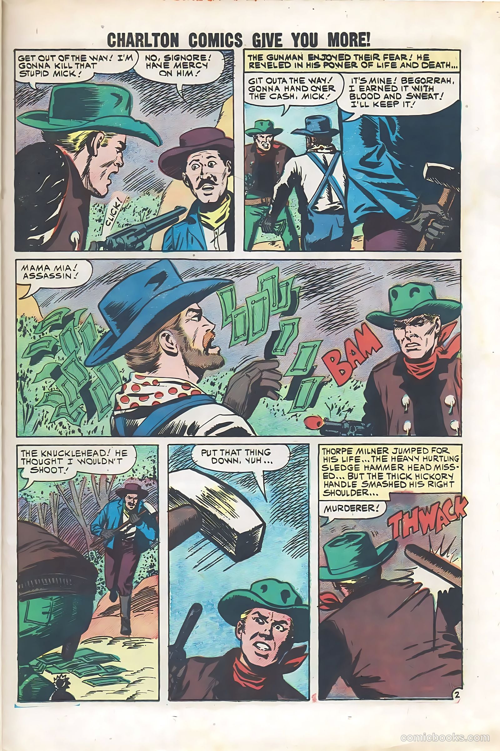 Black Fury #29 — page 23 of 36
