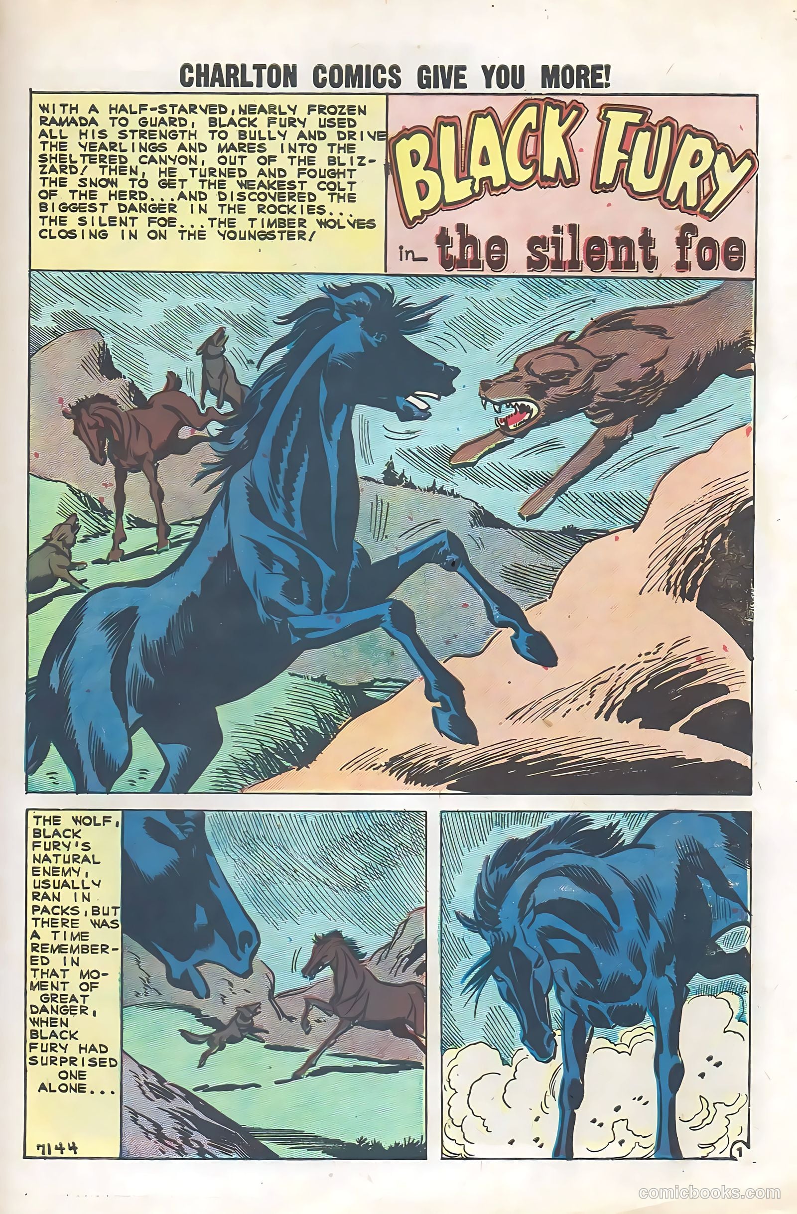 Black Fury #29 — page 27 of 36