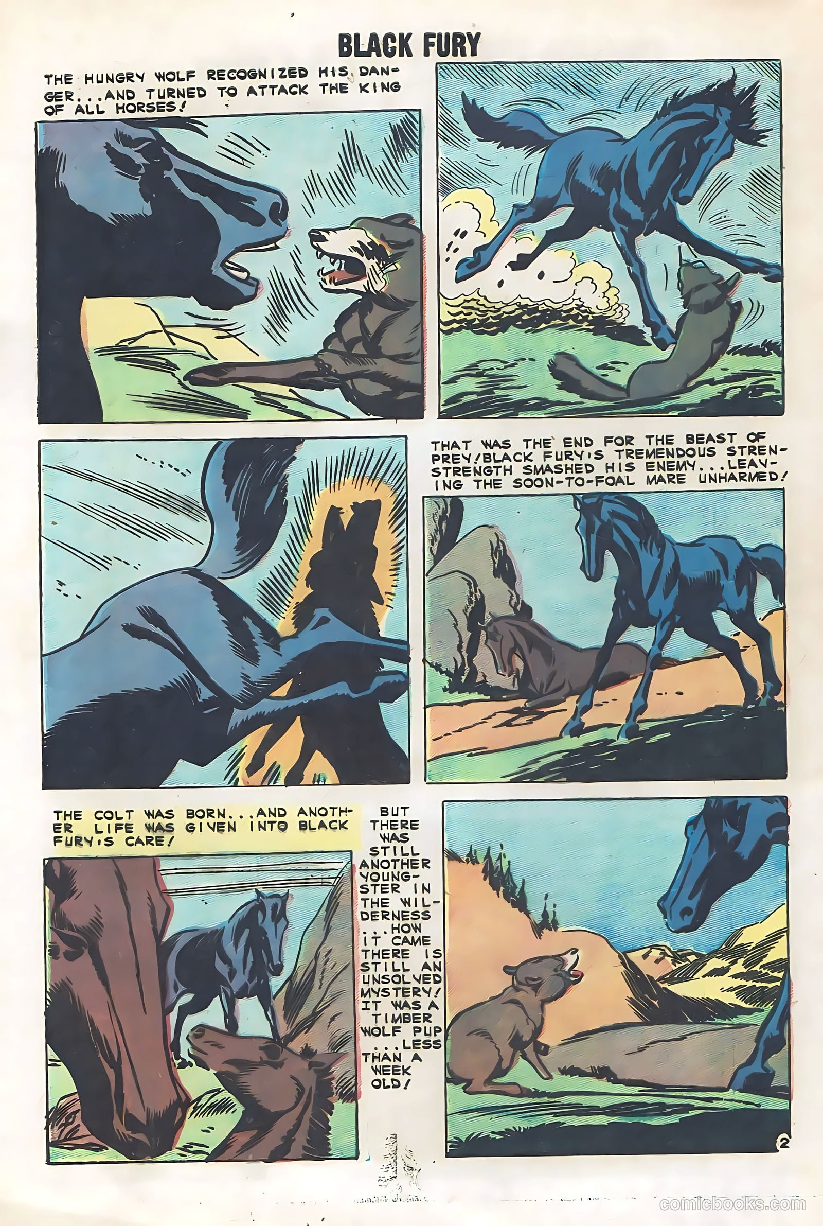 Black Fury #29 — page 28 of 36
