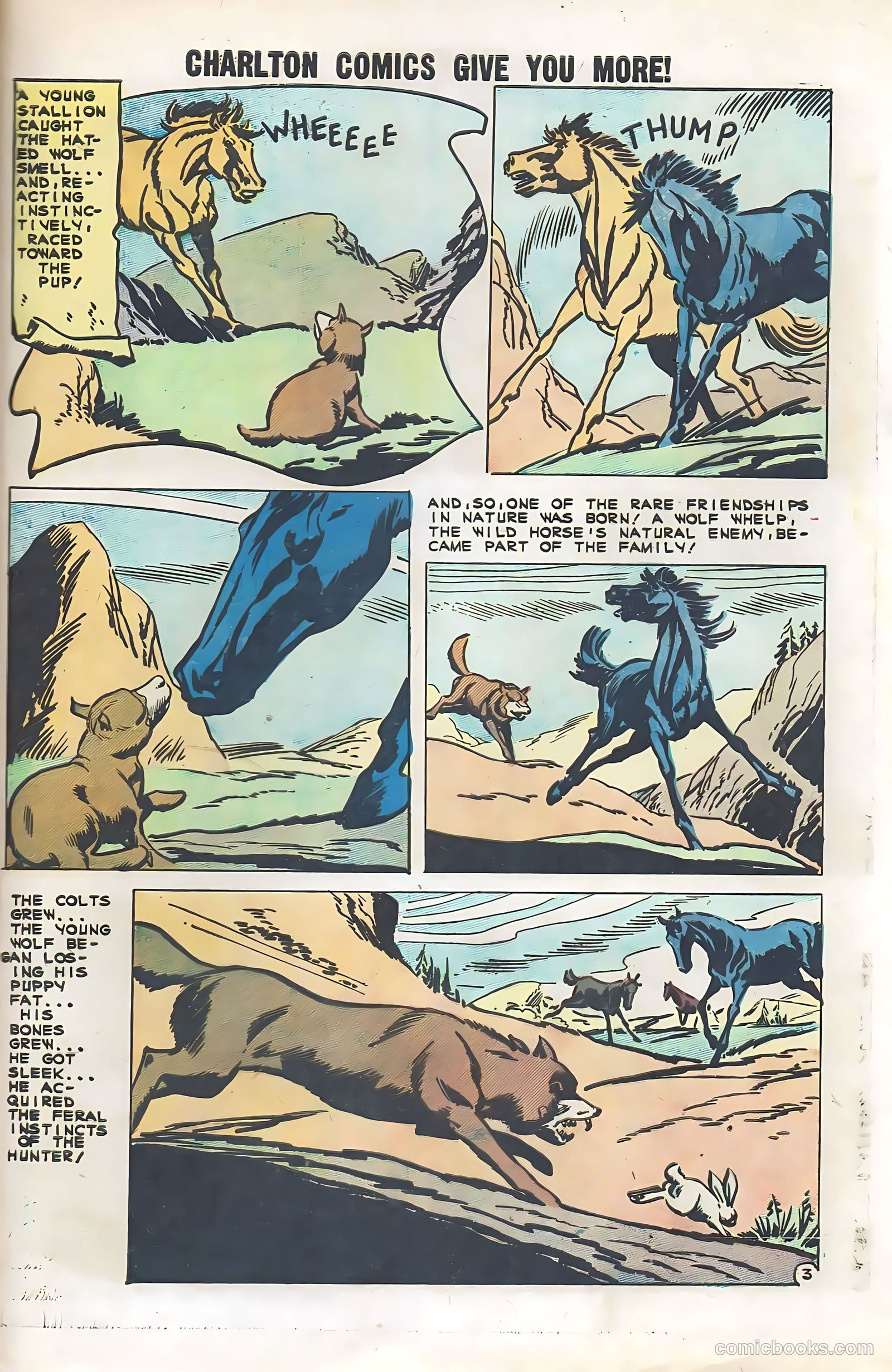 Black Fury #29 — page 29 of 36