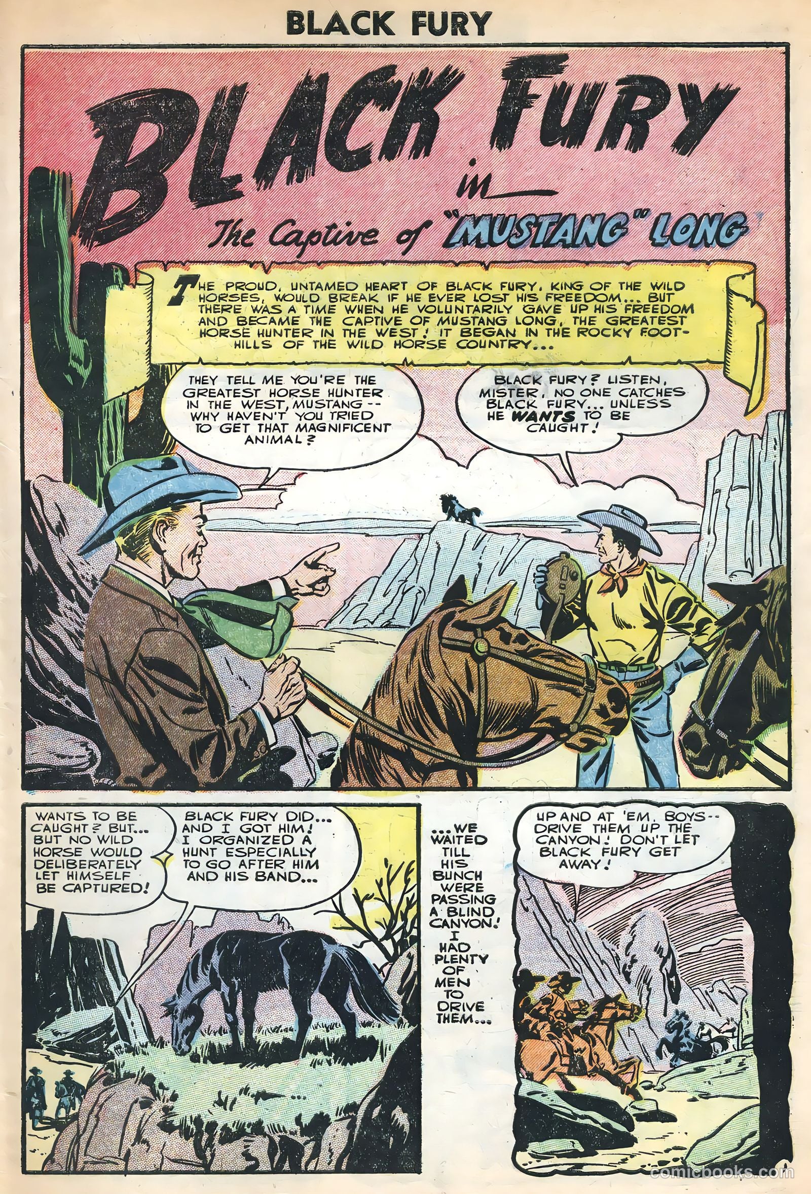 Black Fury #3 — page 3 of 36