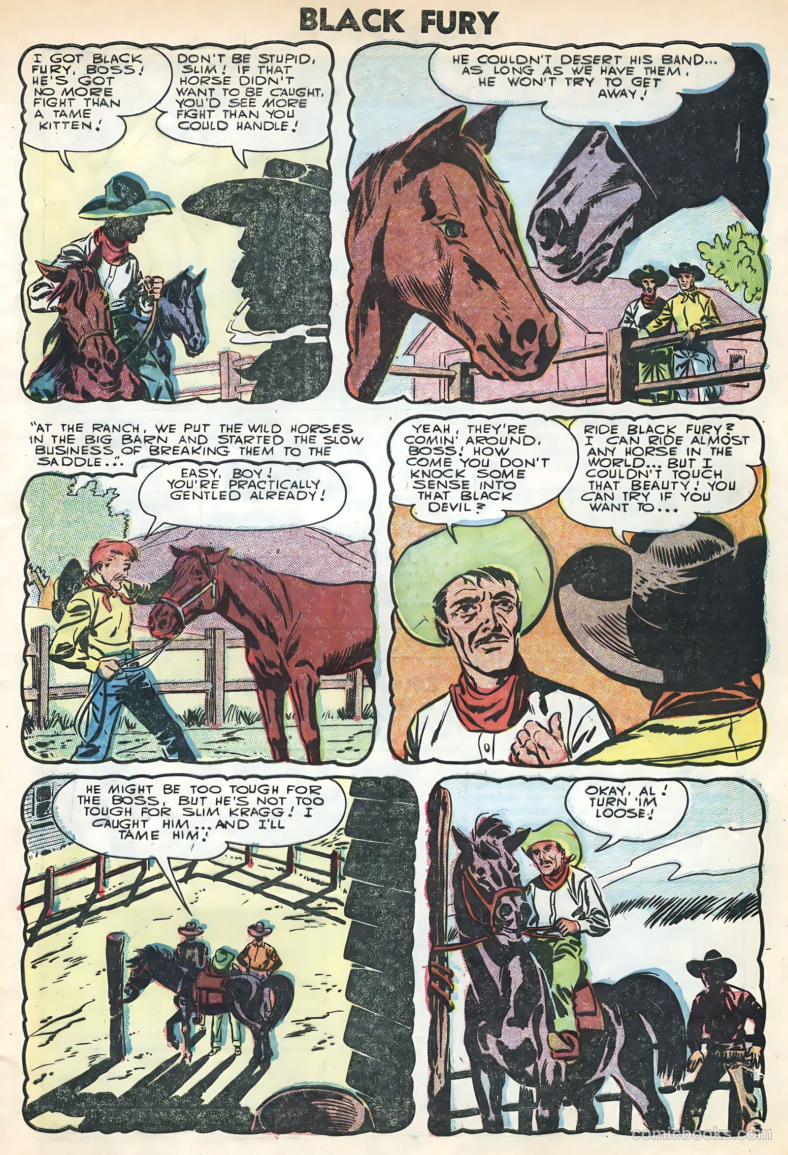 Black Fury #3 — page 5 of 36