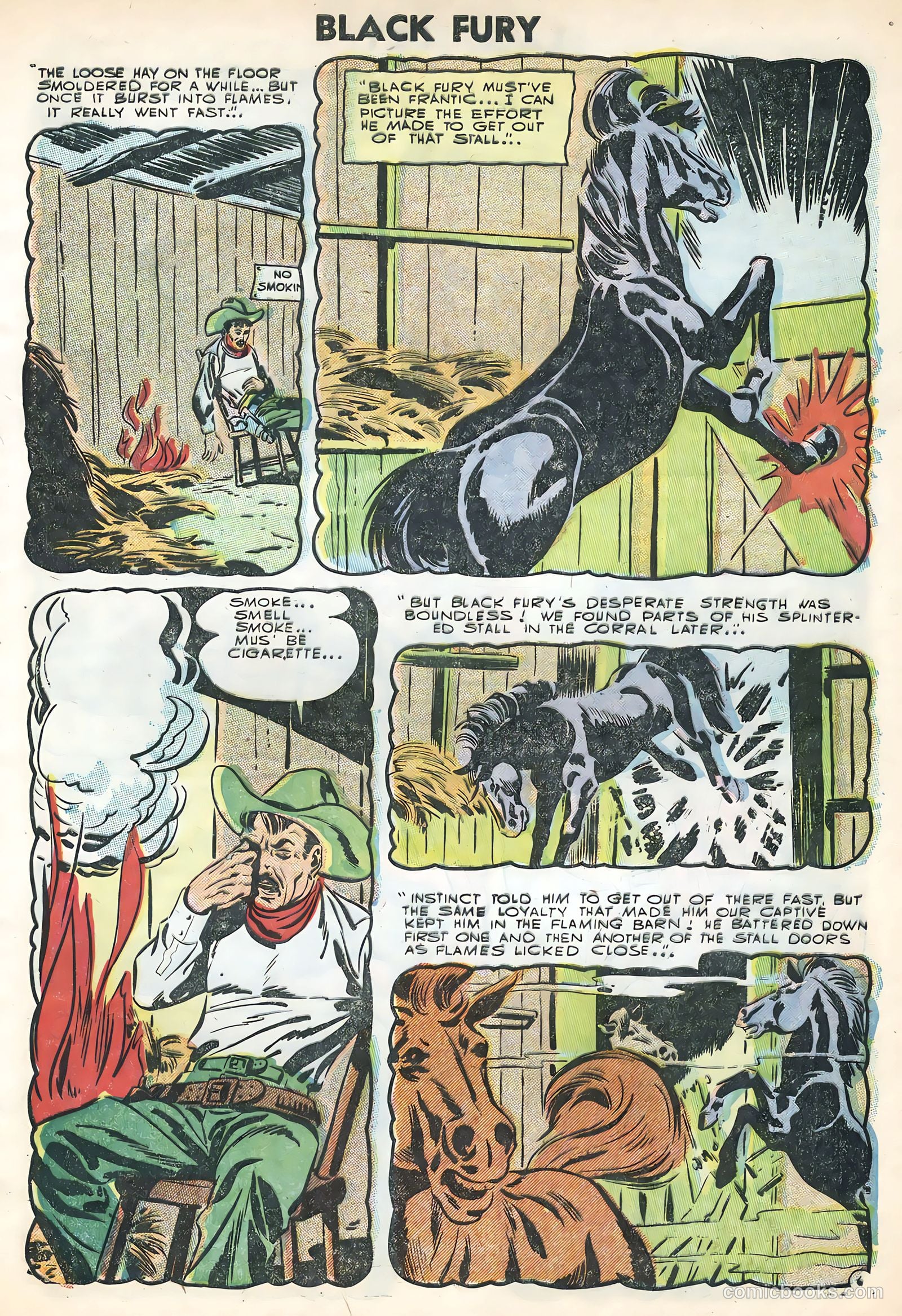 Black Fury #3 — page 9 of 36