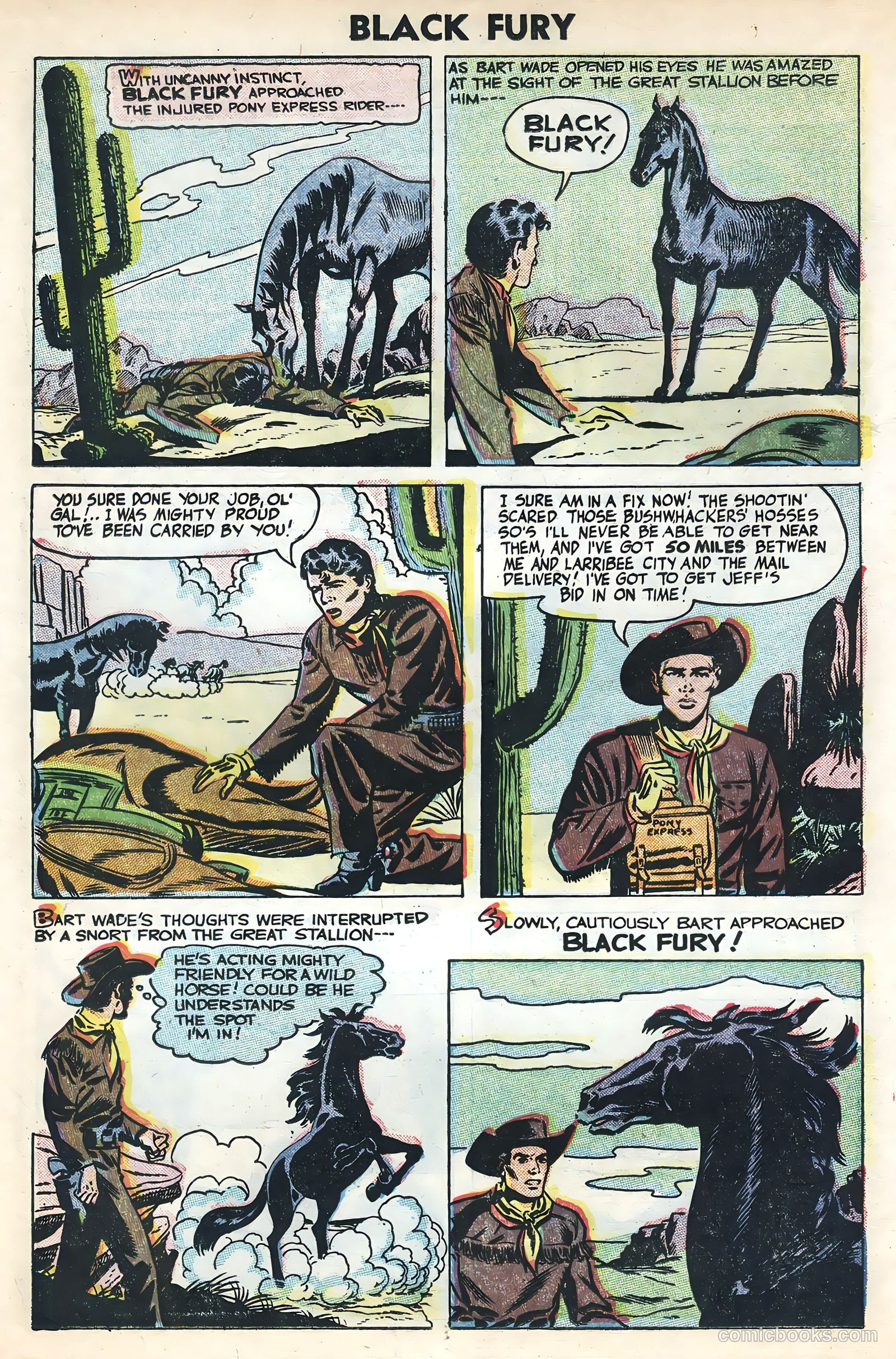 Black Fury #3 — page 14 of 36