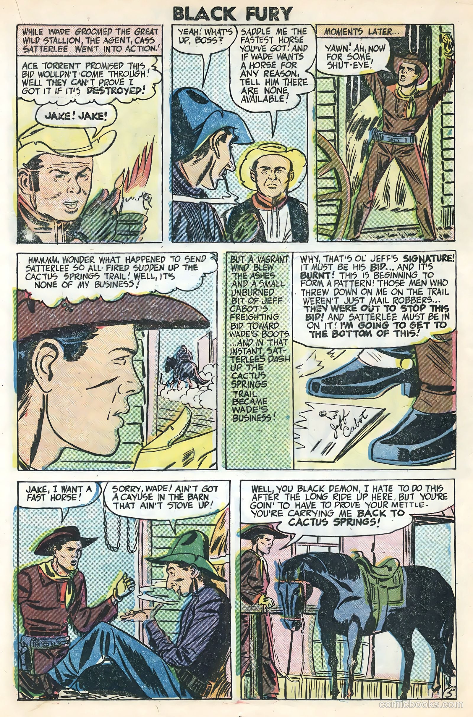 Black Fury #3 — page 17 of 36