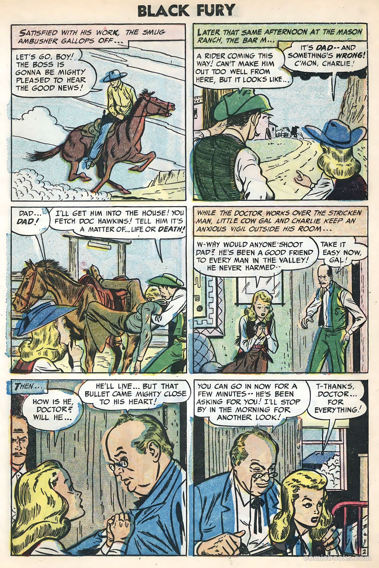 Black Fury #3 — page 25 of 36