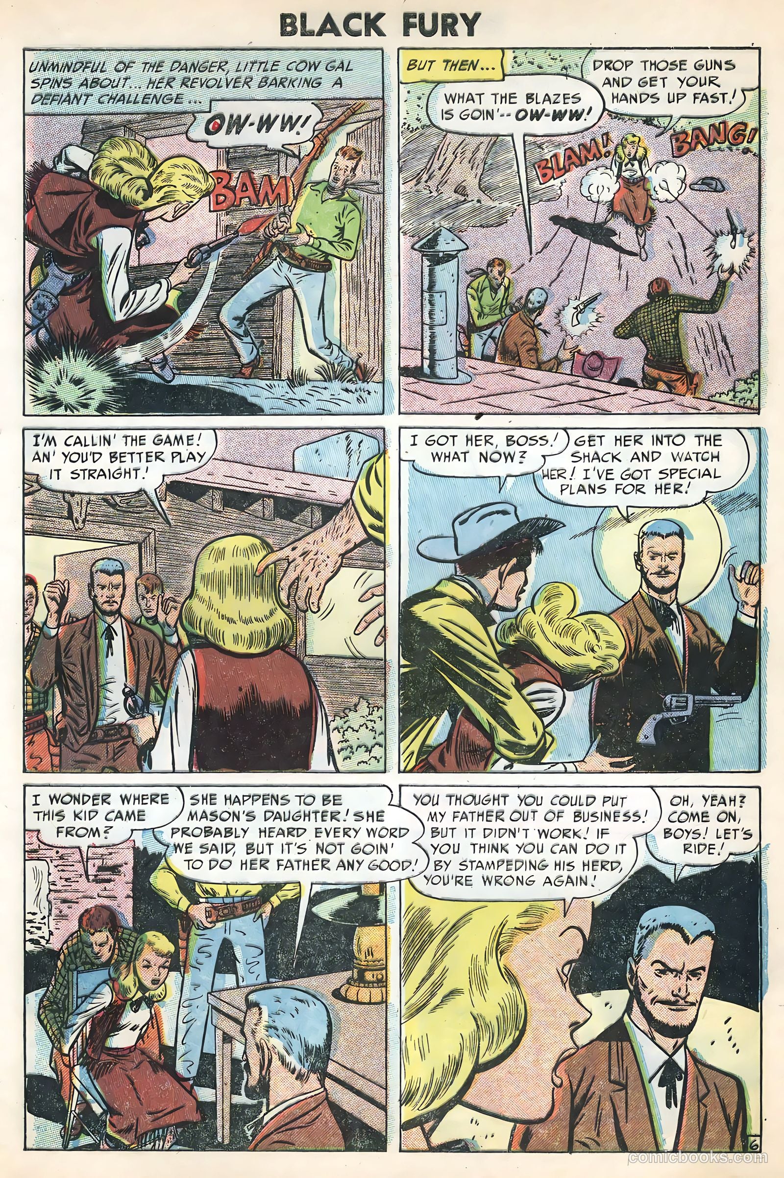 Black Fury #3 — page 29 of 36