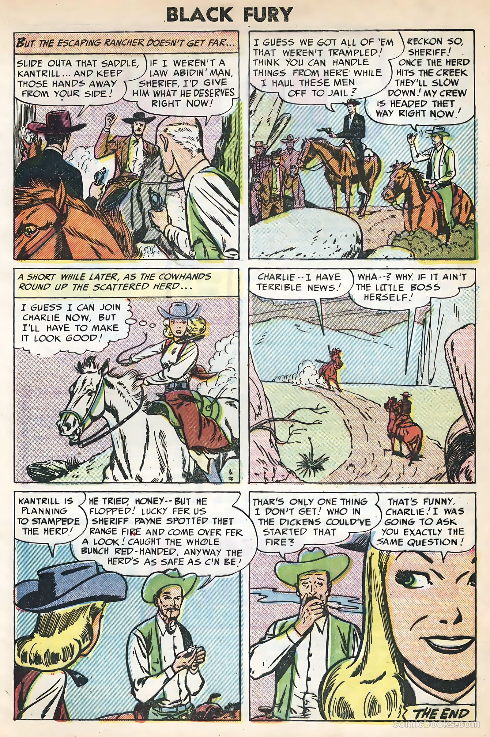 Black Fury #3 — page 33 of 36