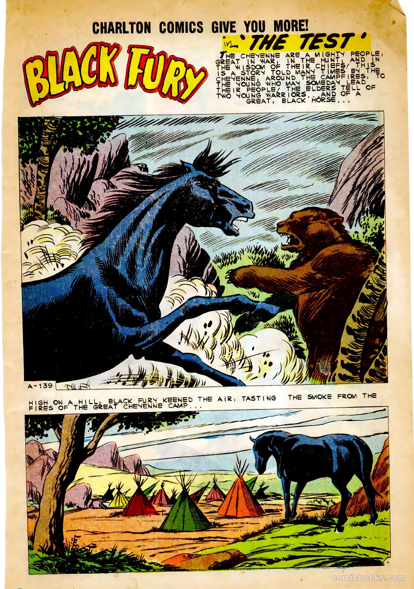 Black Fury #30 — page 3 of 36