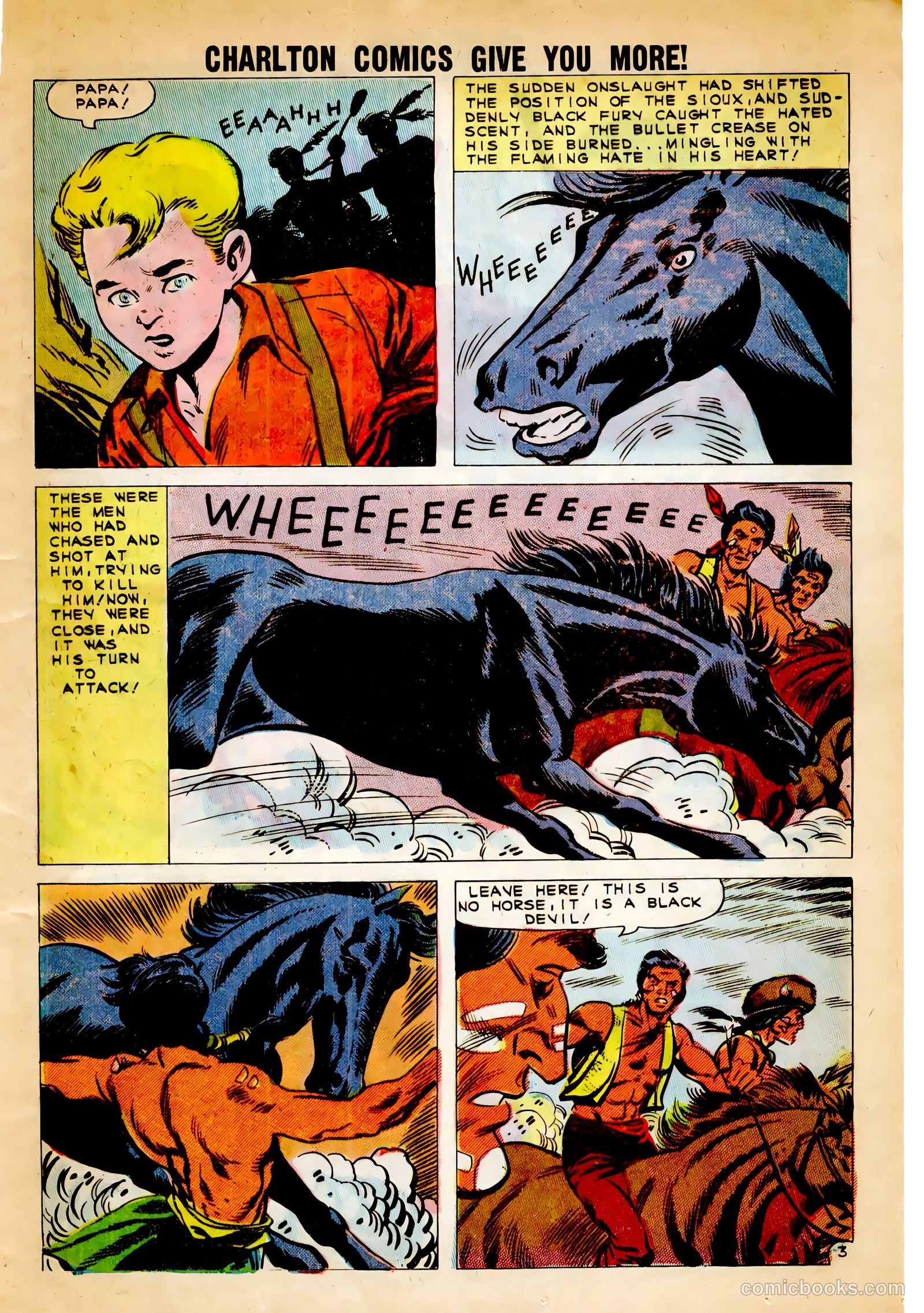 Black Fury #30 — page 13 of 36