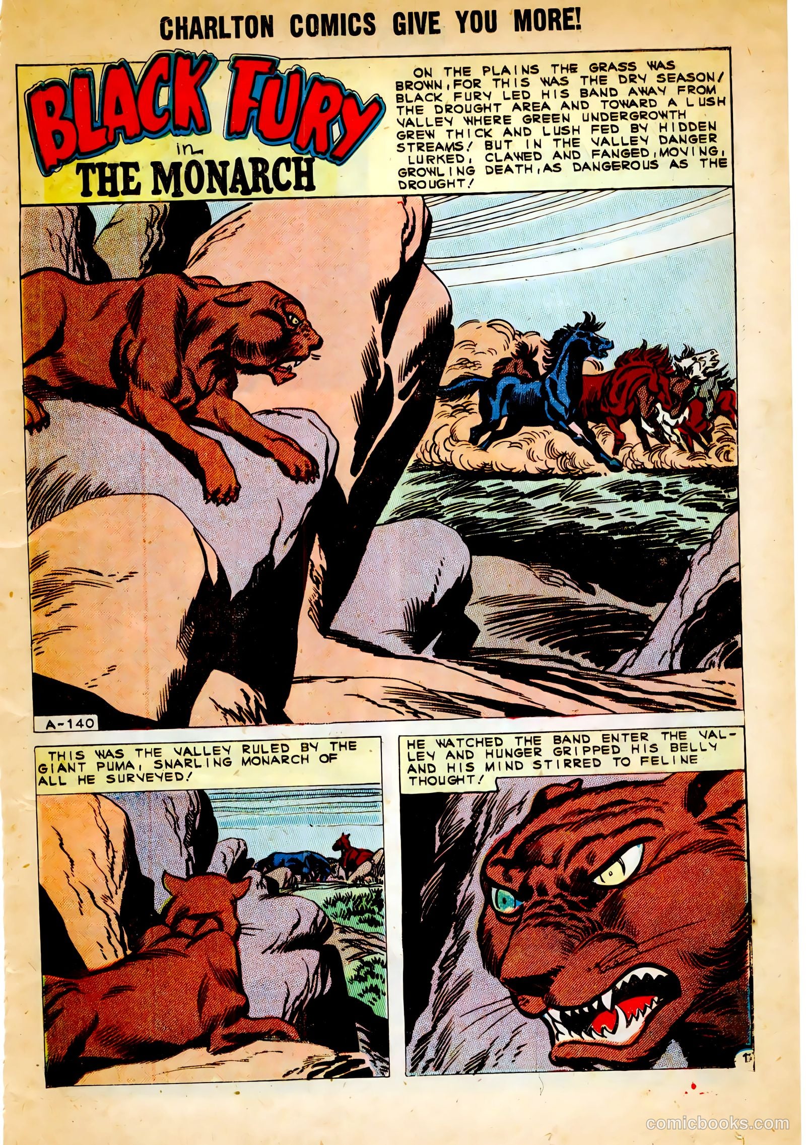Black Fury #30 — page 19 of 36