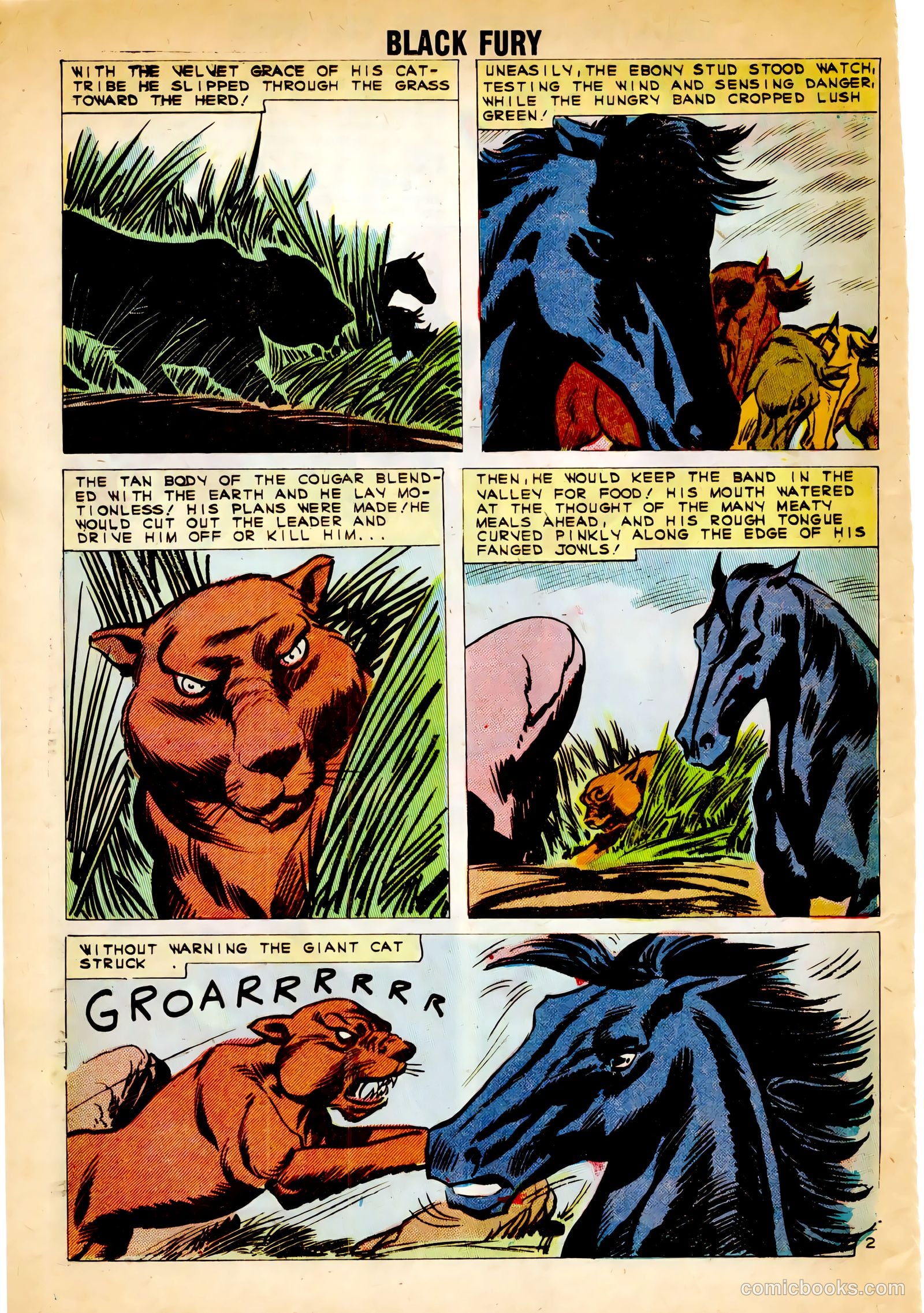 Black Fury #30 — page 20 of 36