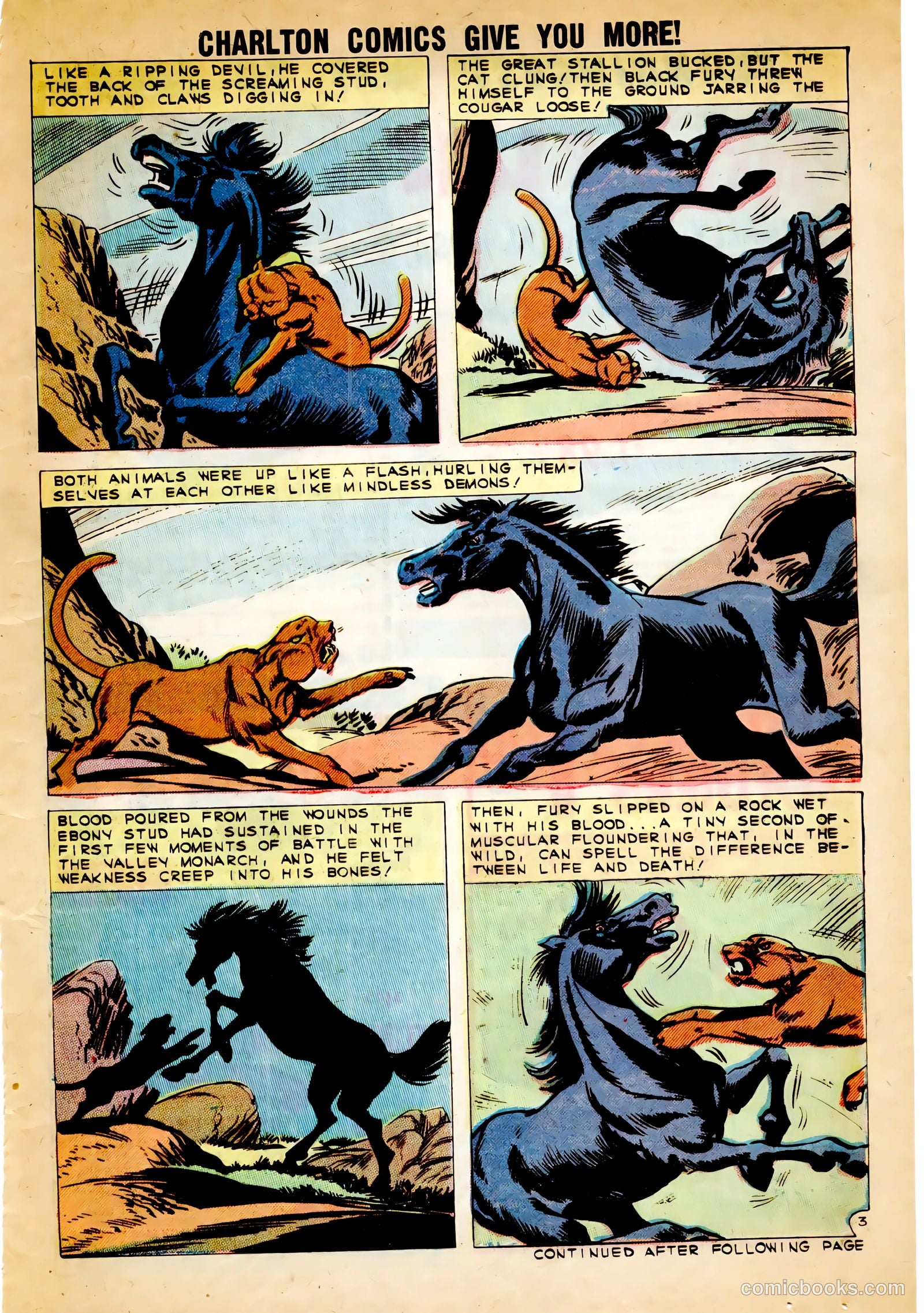 Black Fury #30 — page 21 of 36