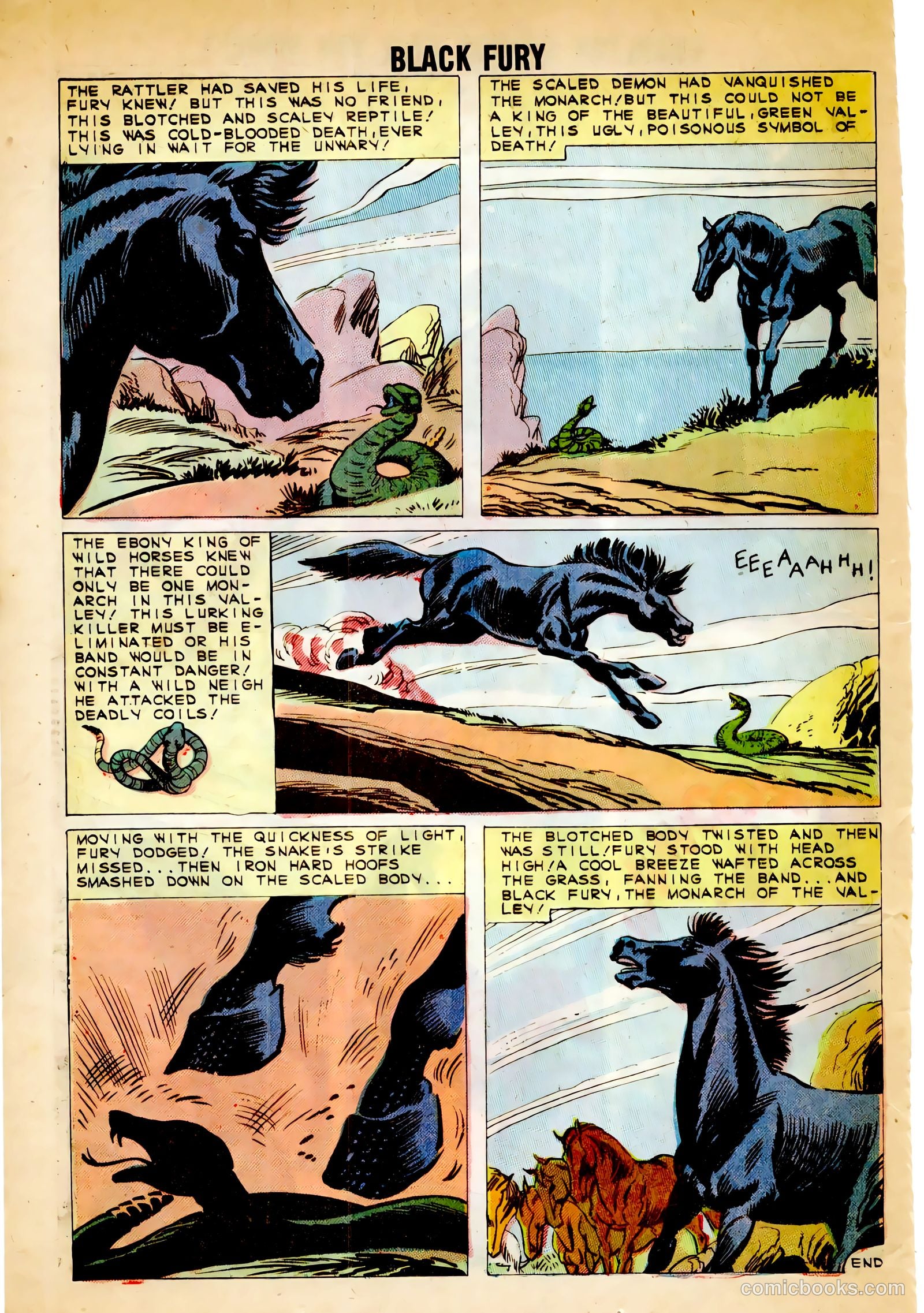 Black Fury #30 — page 24 of 36