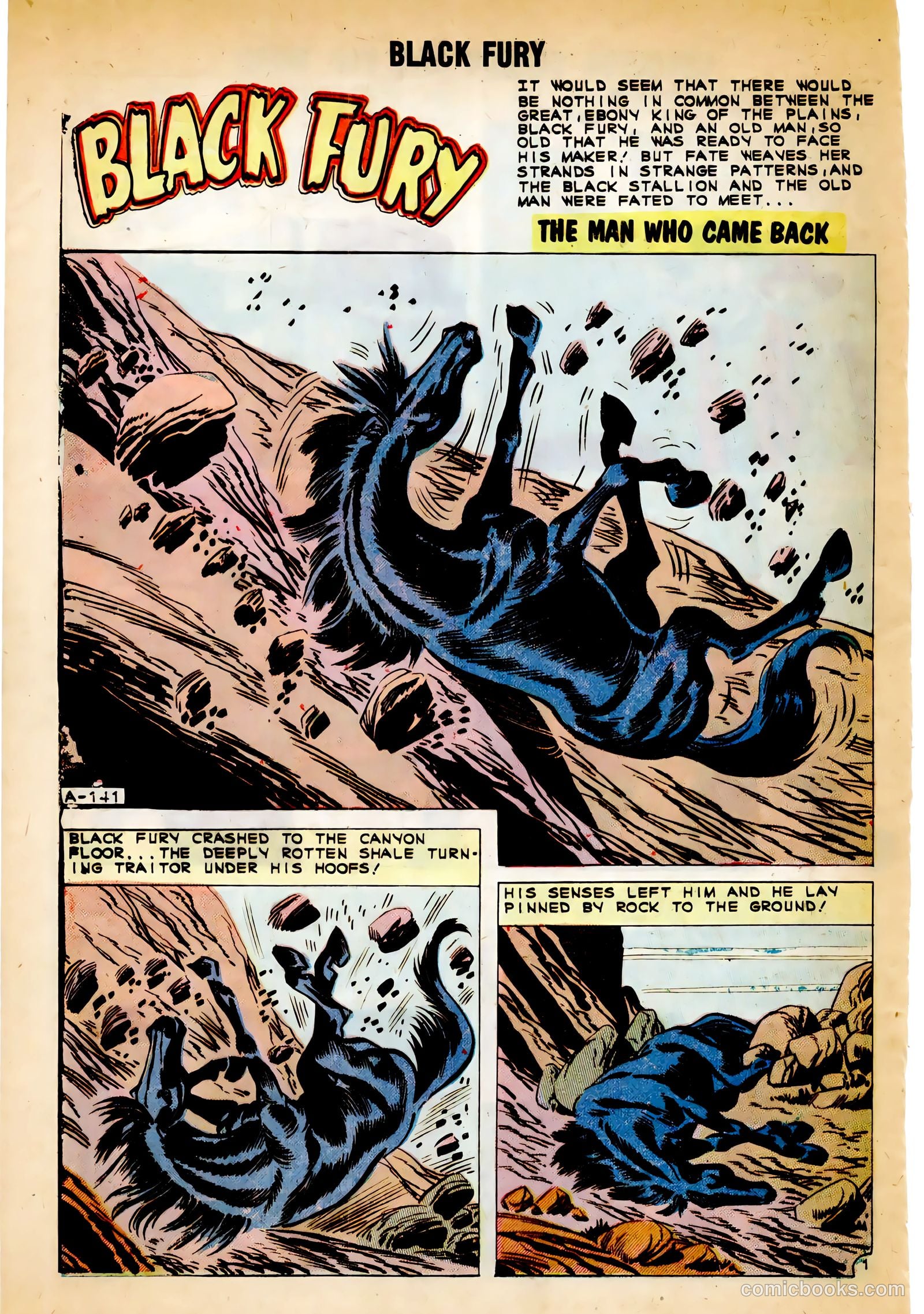 Black Fury #30 — page 28 of 36
