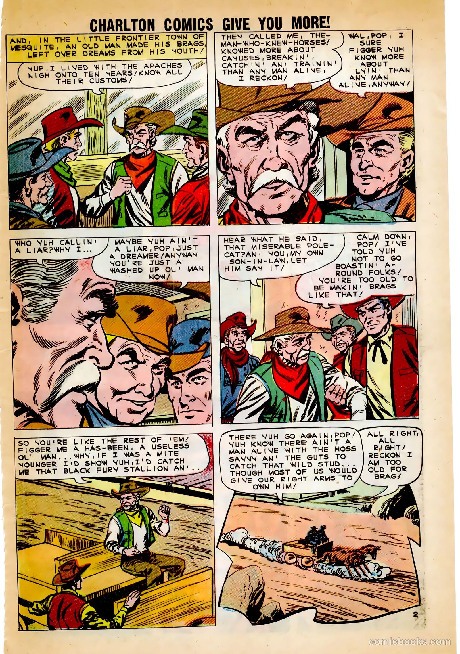 Black Fury #30 — page 29 of 36