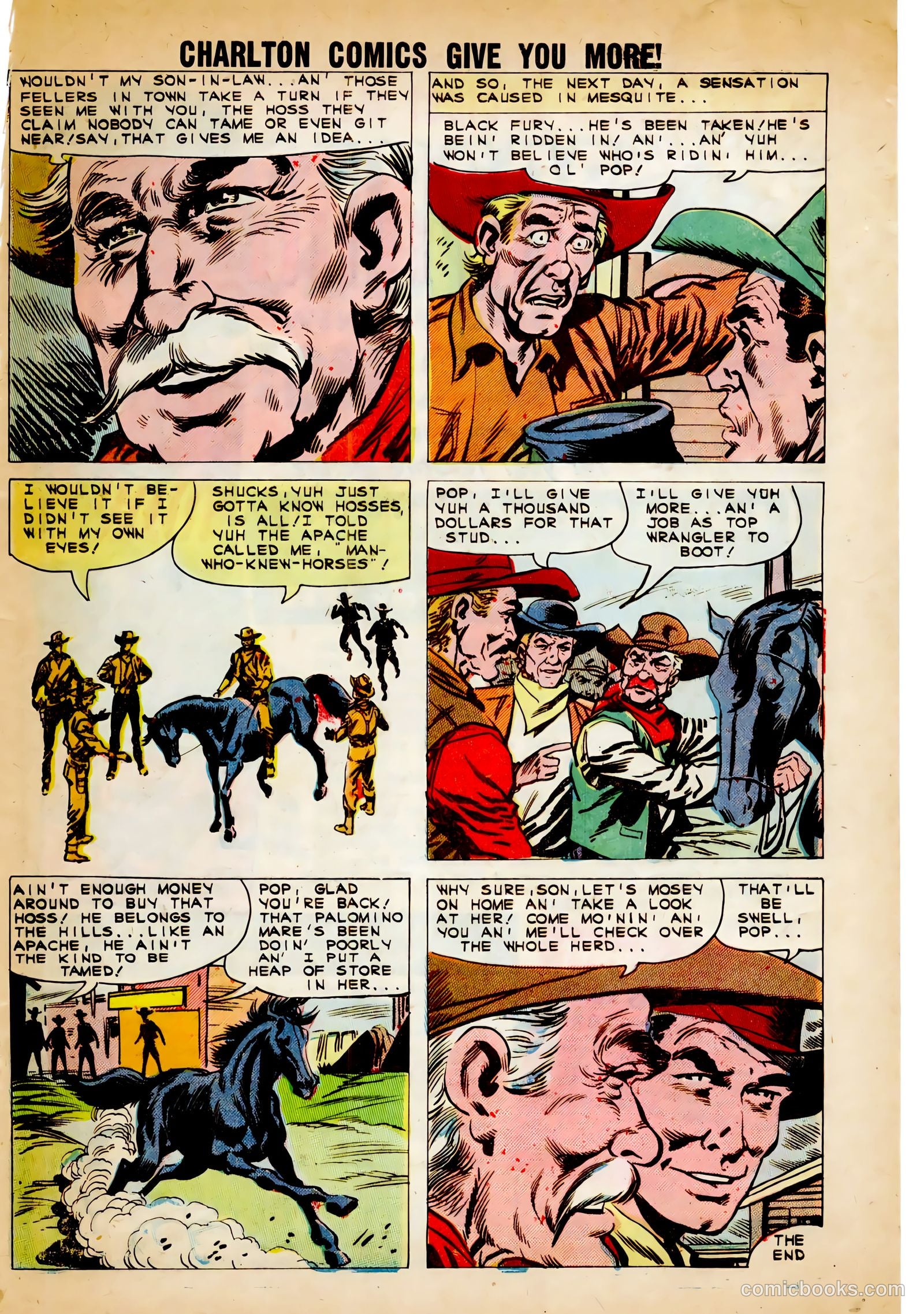 Black Fury #30 — page 33 of 36