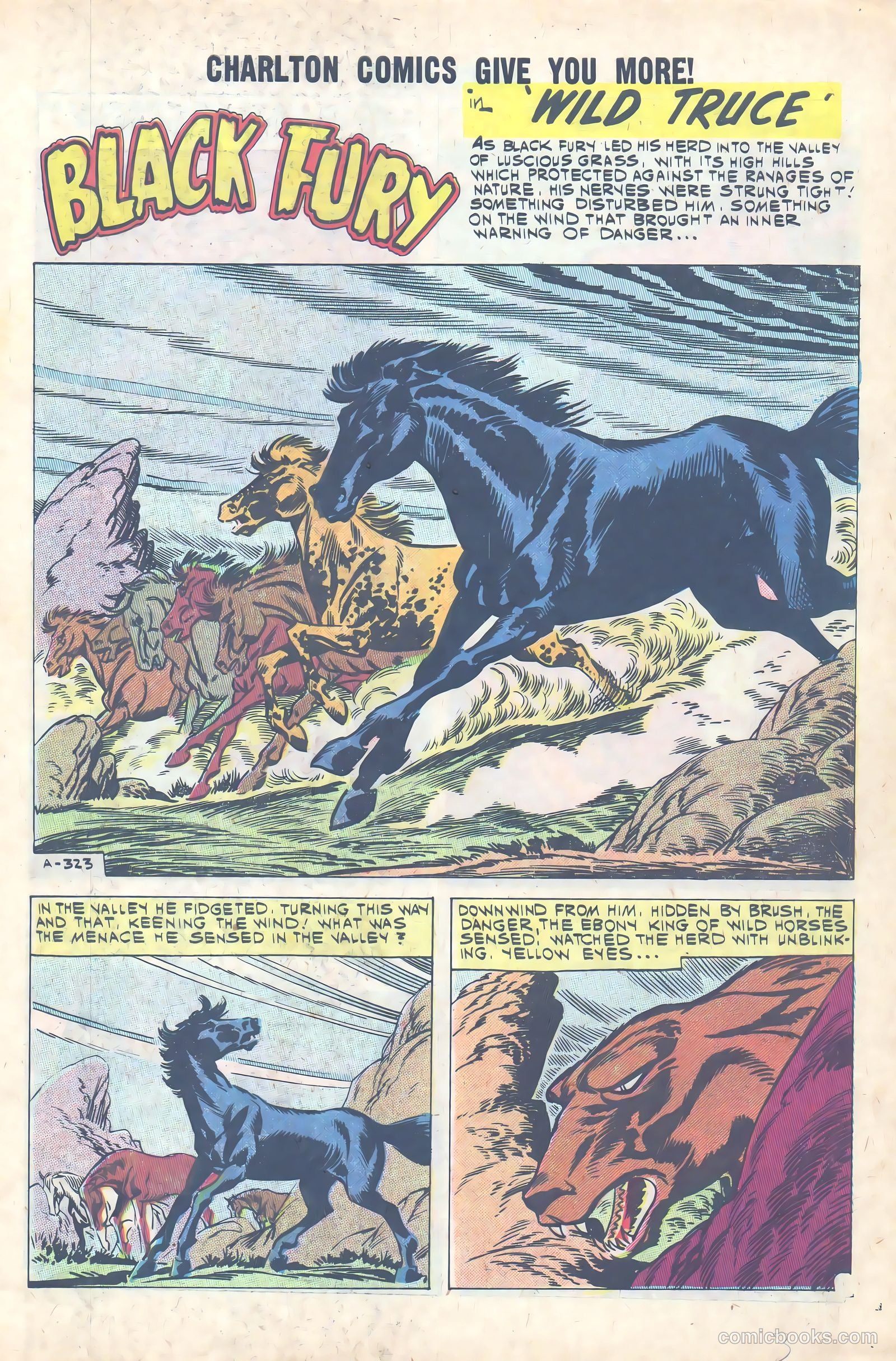 Black Fury #31 — page 3 of 36