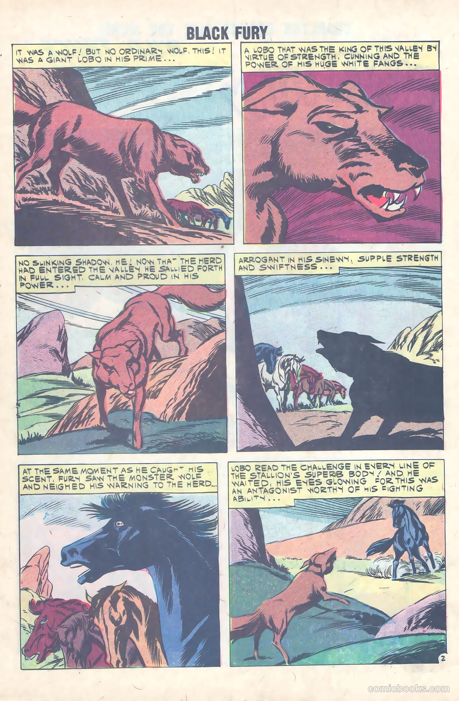 Black Fury #31 — page 4 of 36