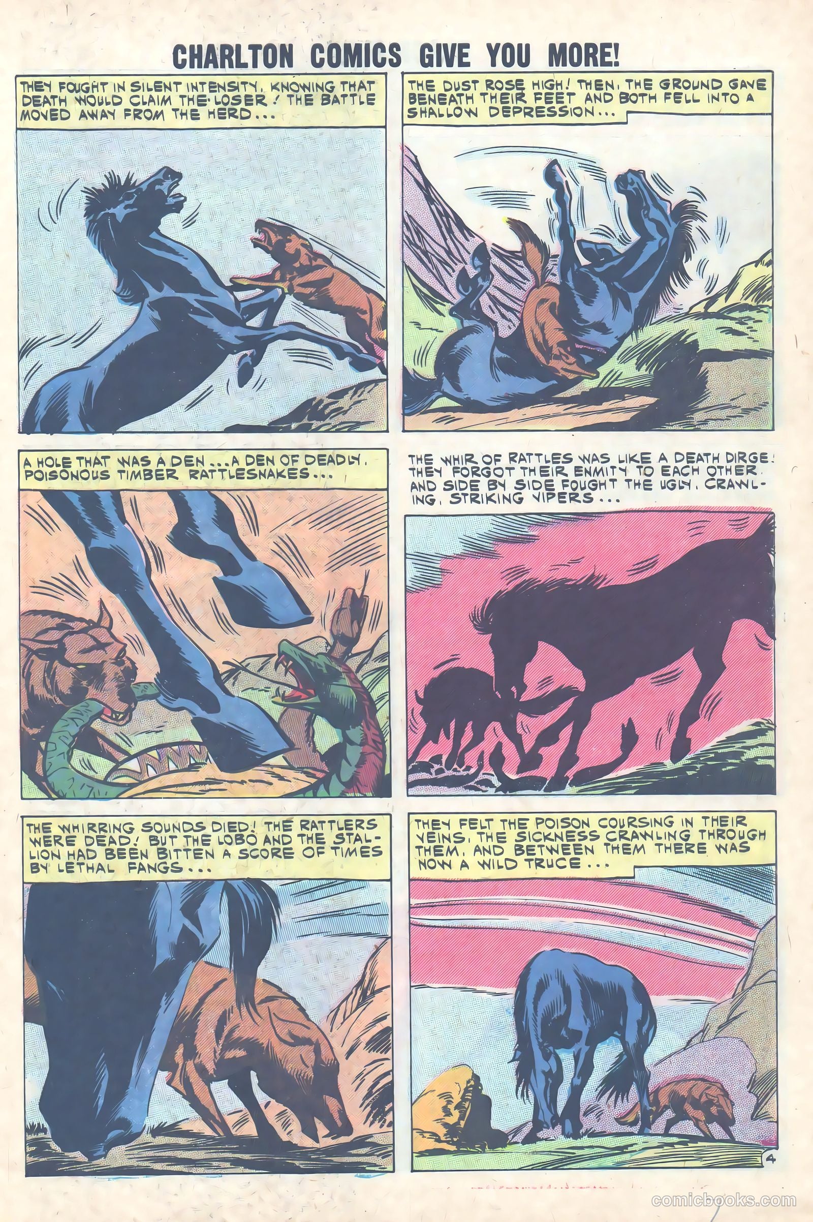 Black Fury #31 — page 7 of 36