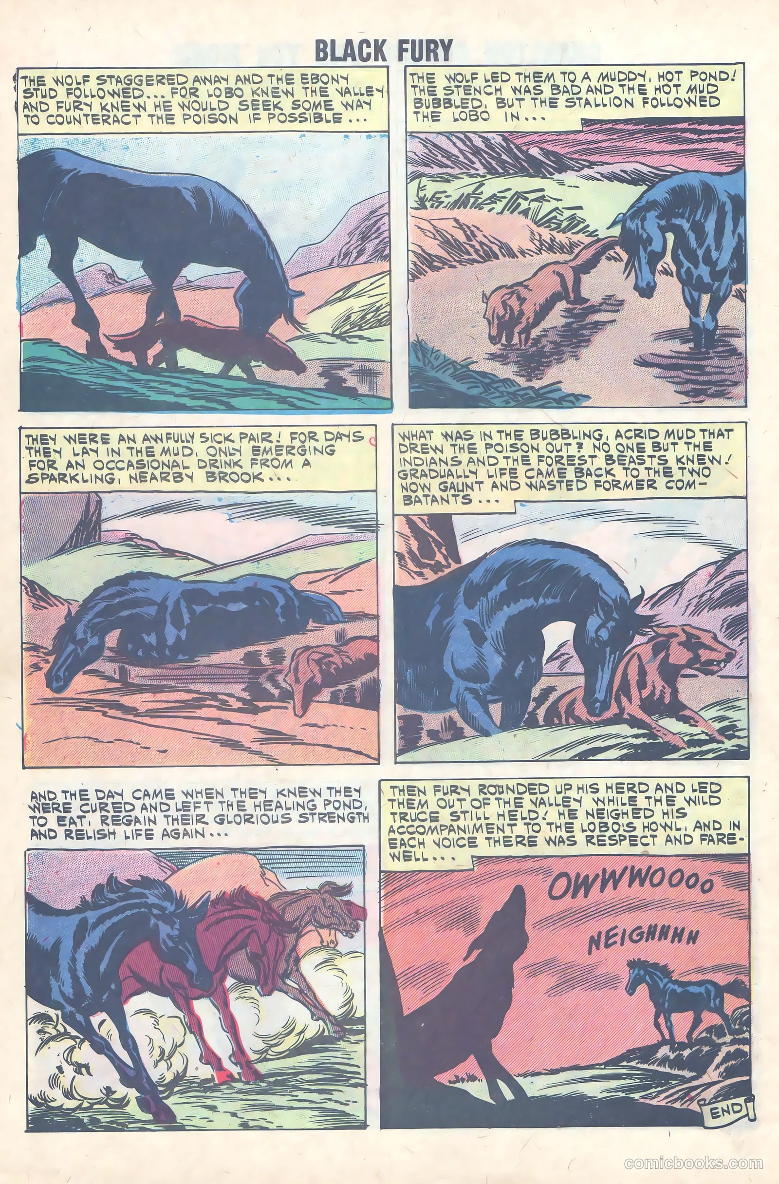 Black Fury #31 — page 8 of 36