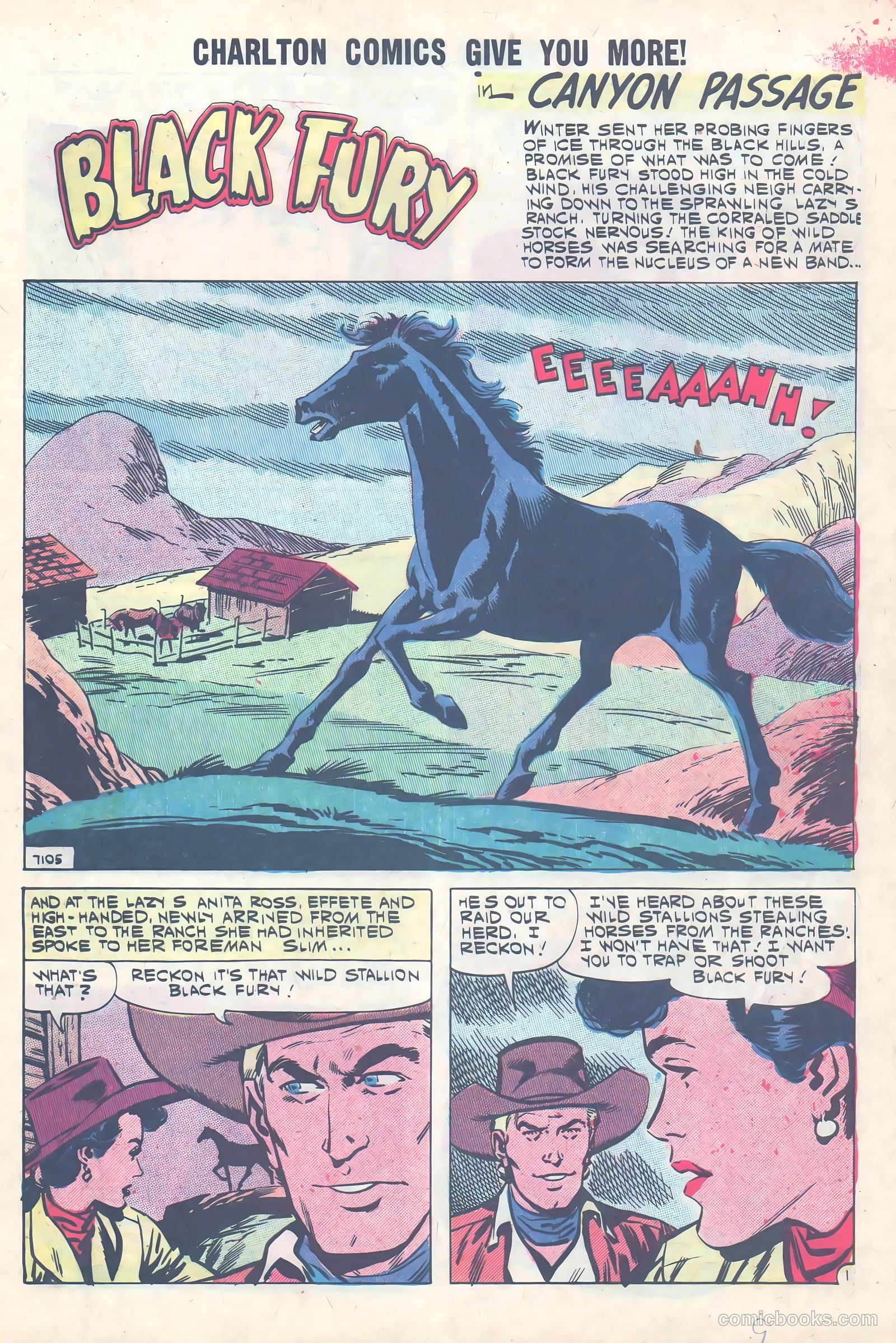 Black Fury #31 — page 9 of 36