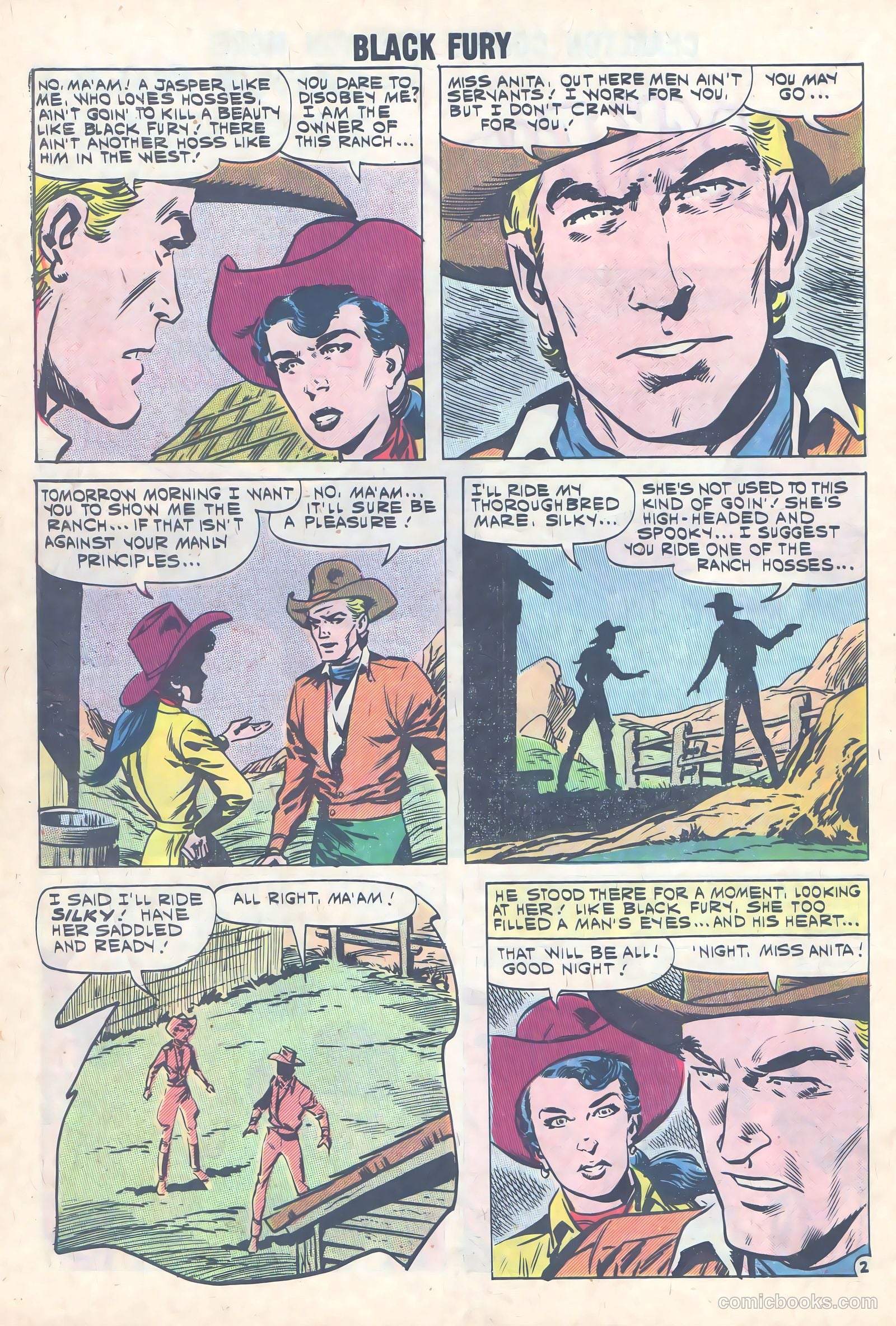 Black Fury #31 — page 10 of 36