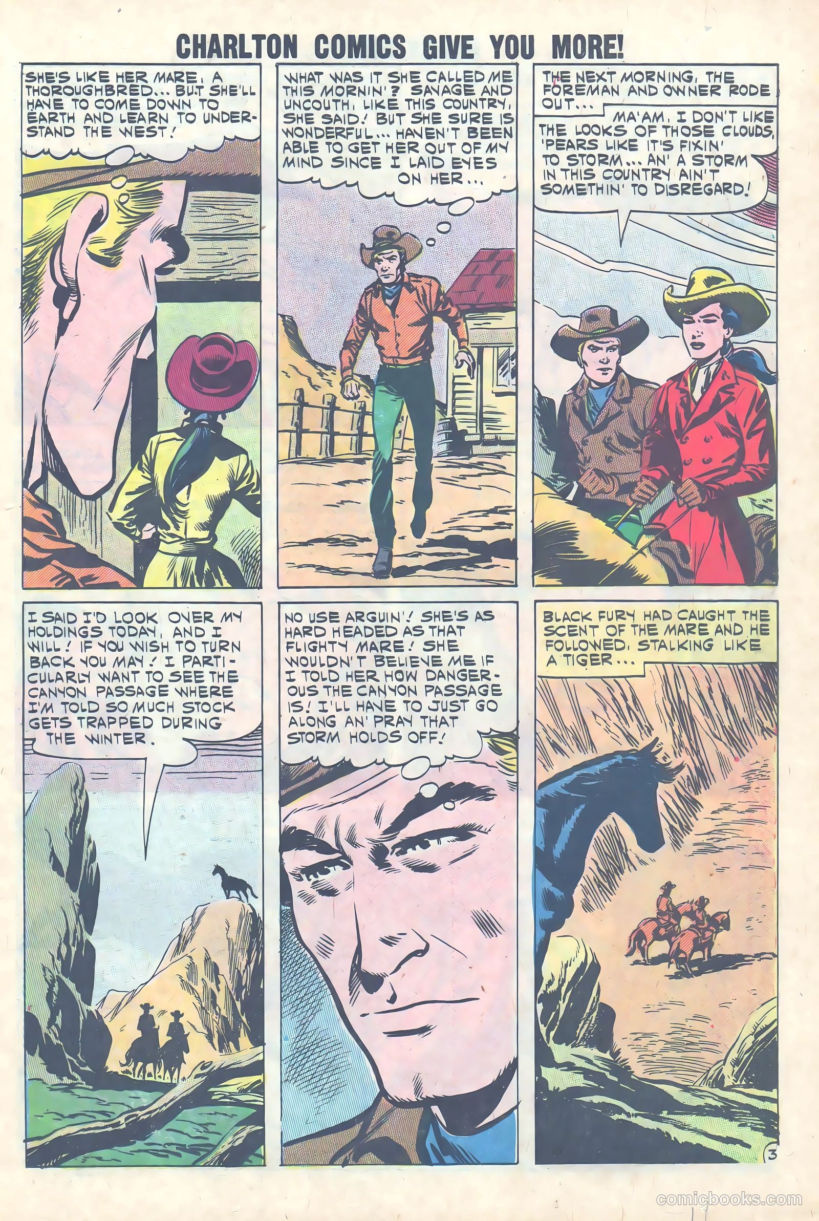 Black Fury #31 — page 11 of 36