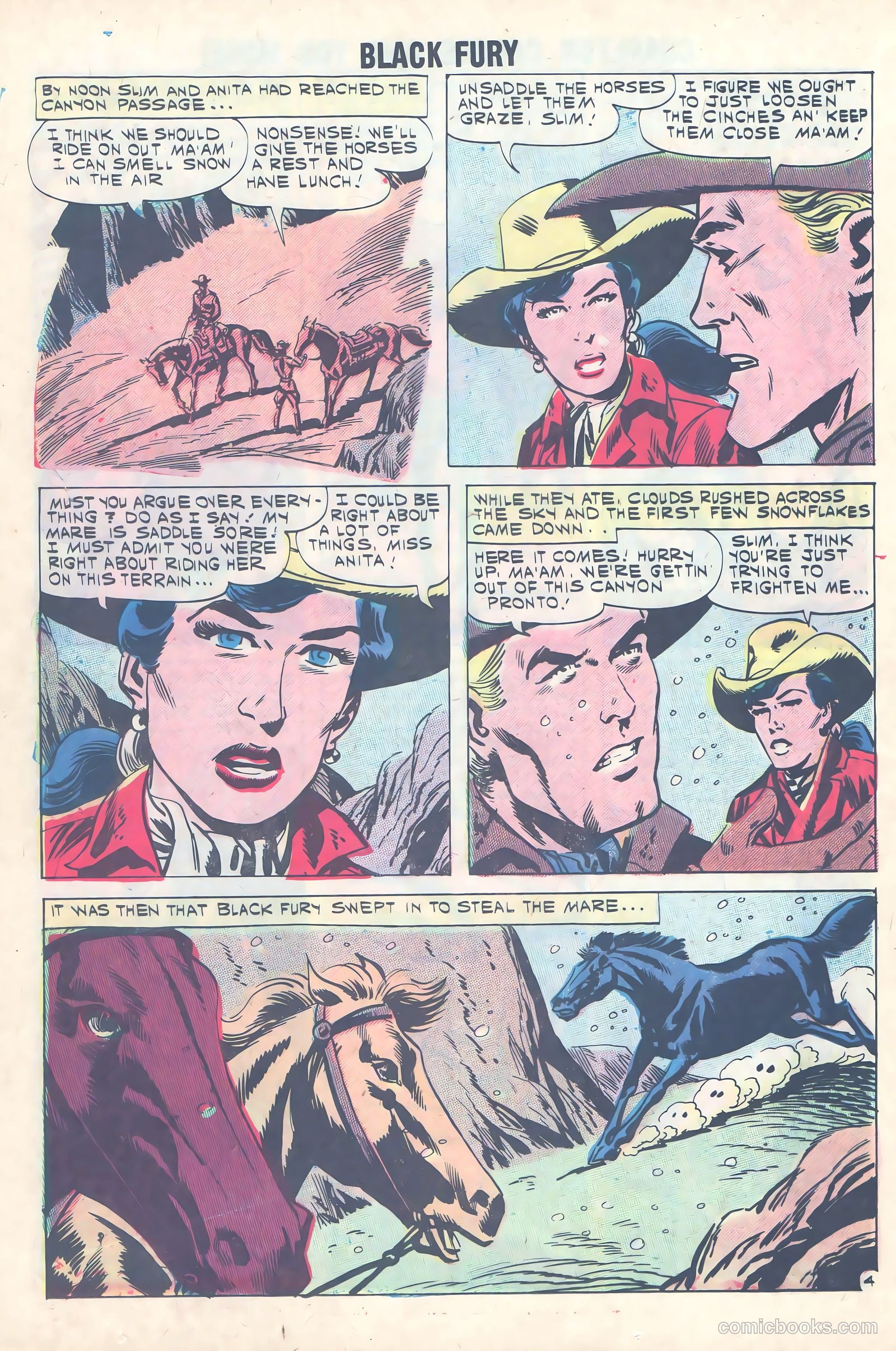 Black Fury #31 — page 12 of 36