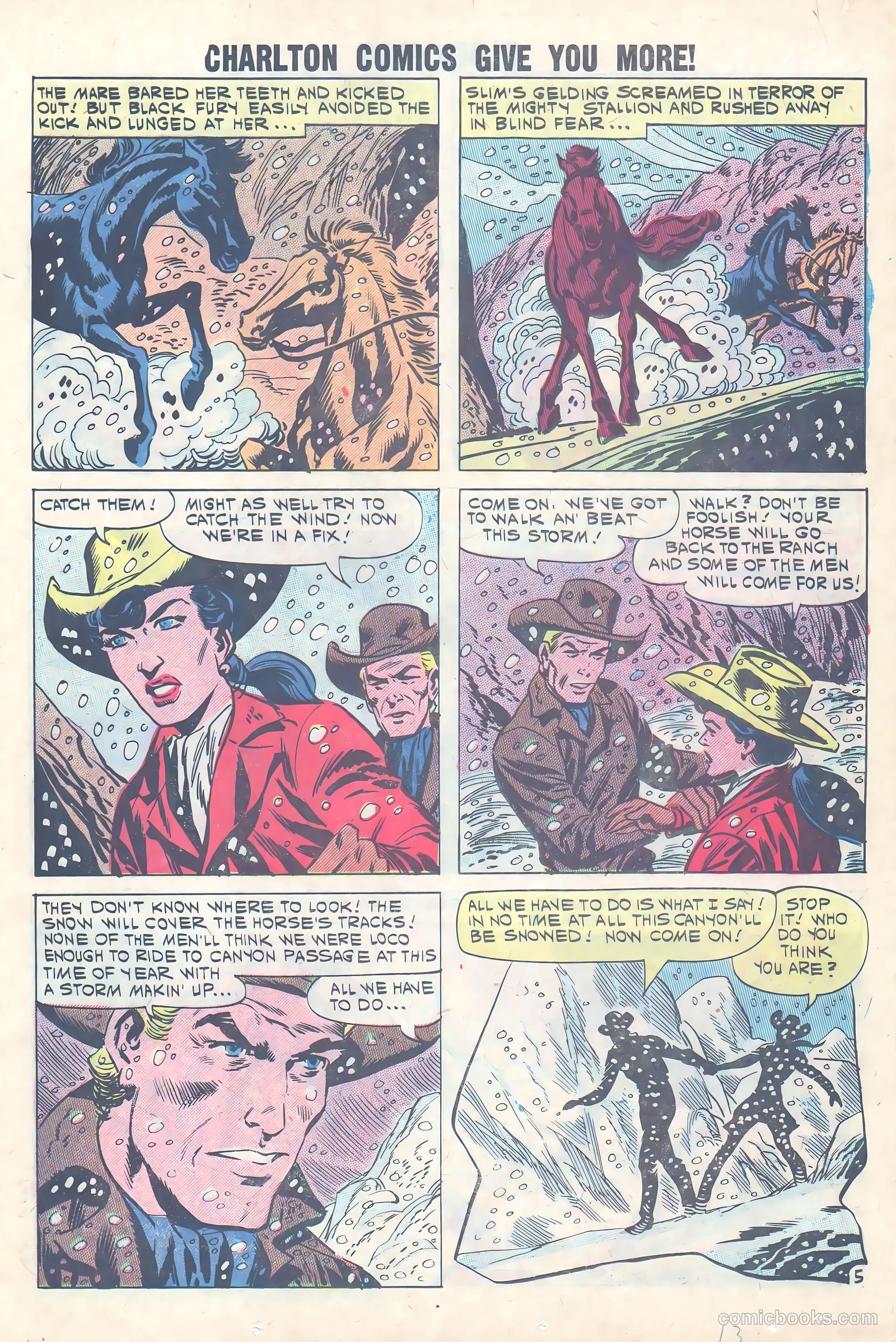 Black Fury #31 — page 13 of 36
