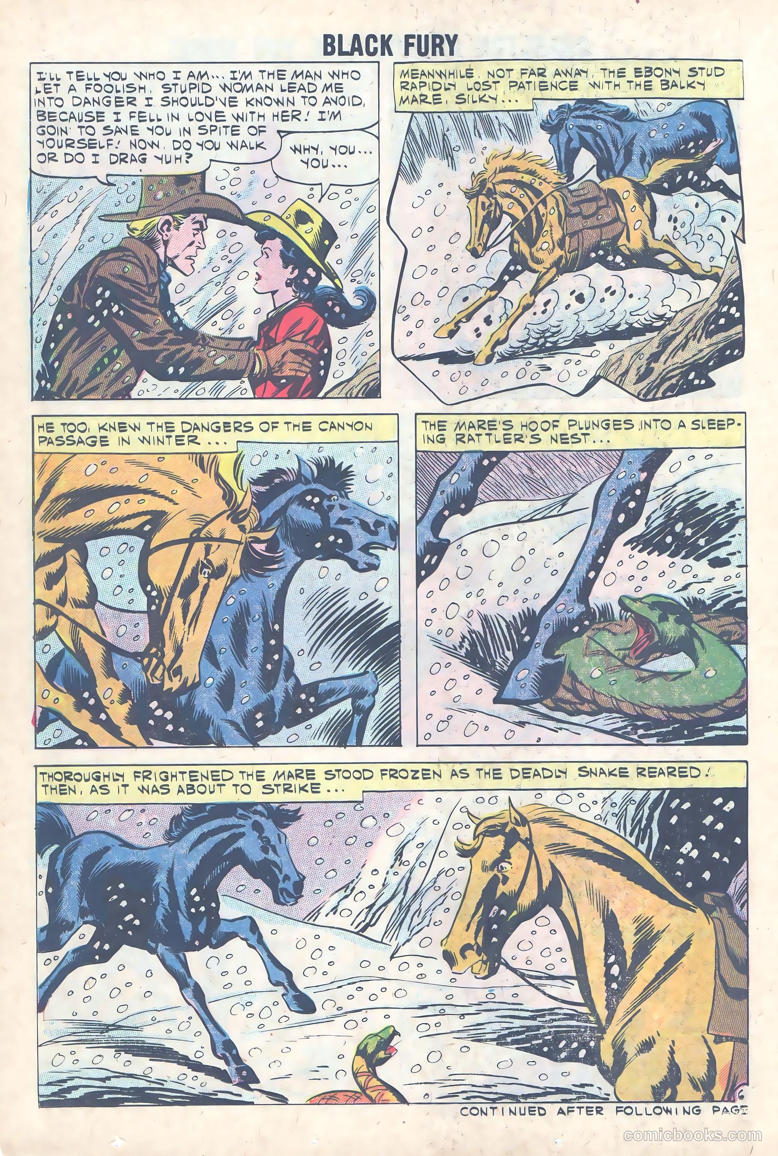 Black Fury #31 — page 14 of 36