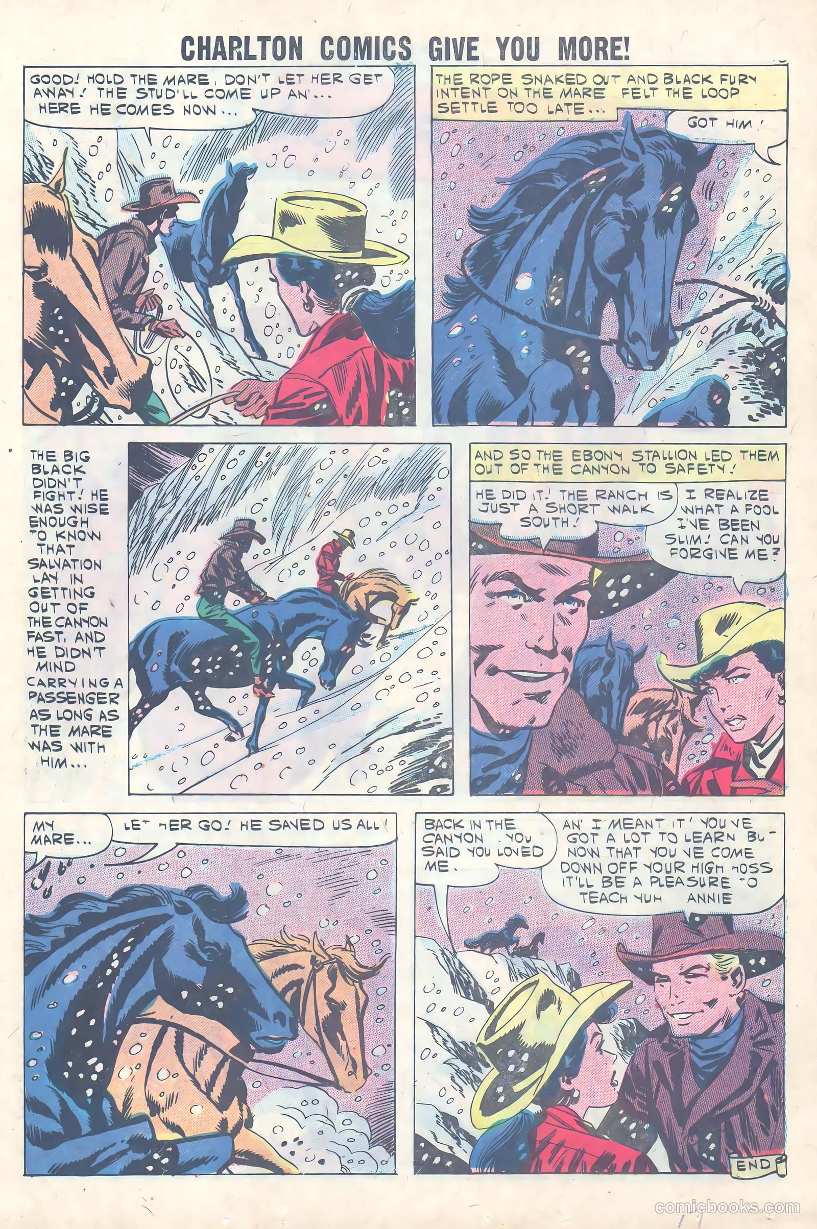 Black Fury #31 — page 17 of 36