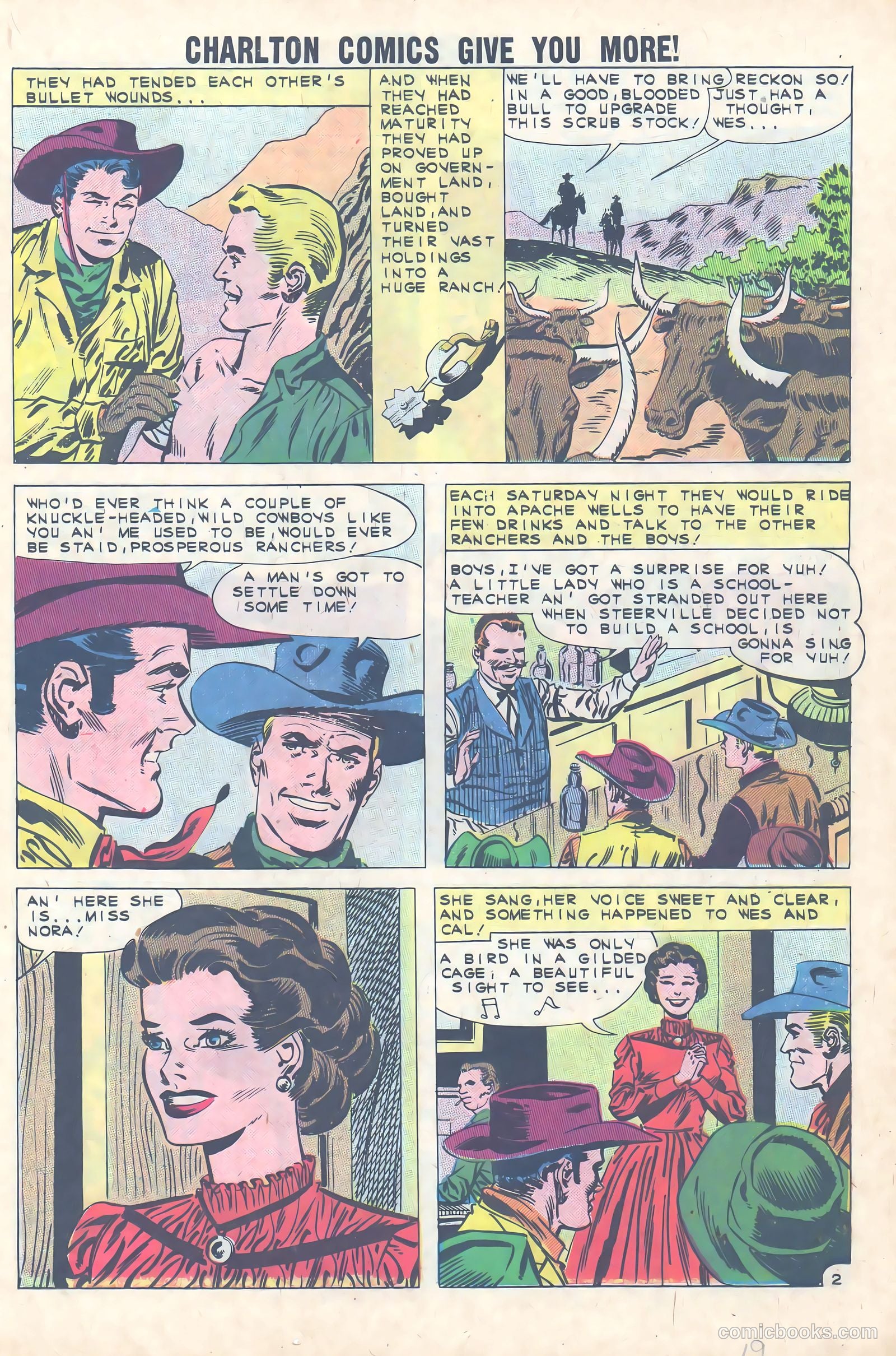 Black Fury #31 — page 19 of 36