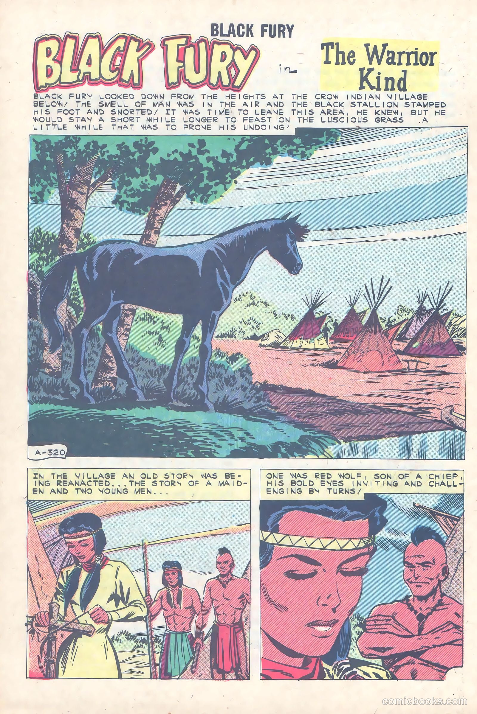 Black Fury #31 — page 28 of 36