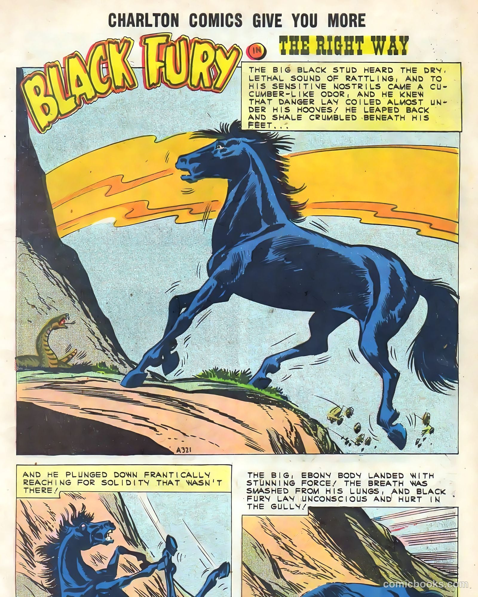 Black Fury #32 — page 3 of 36