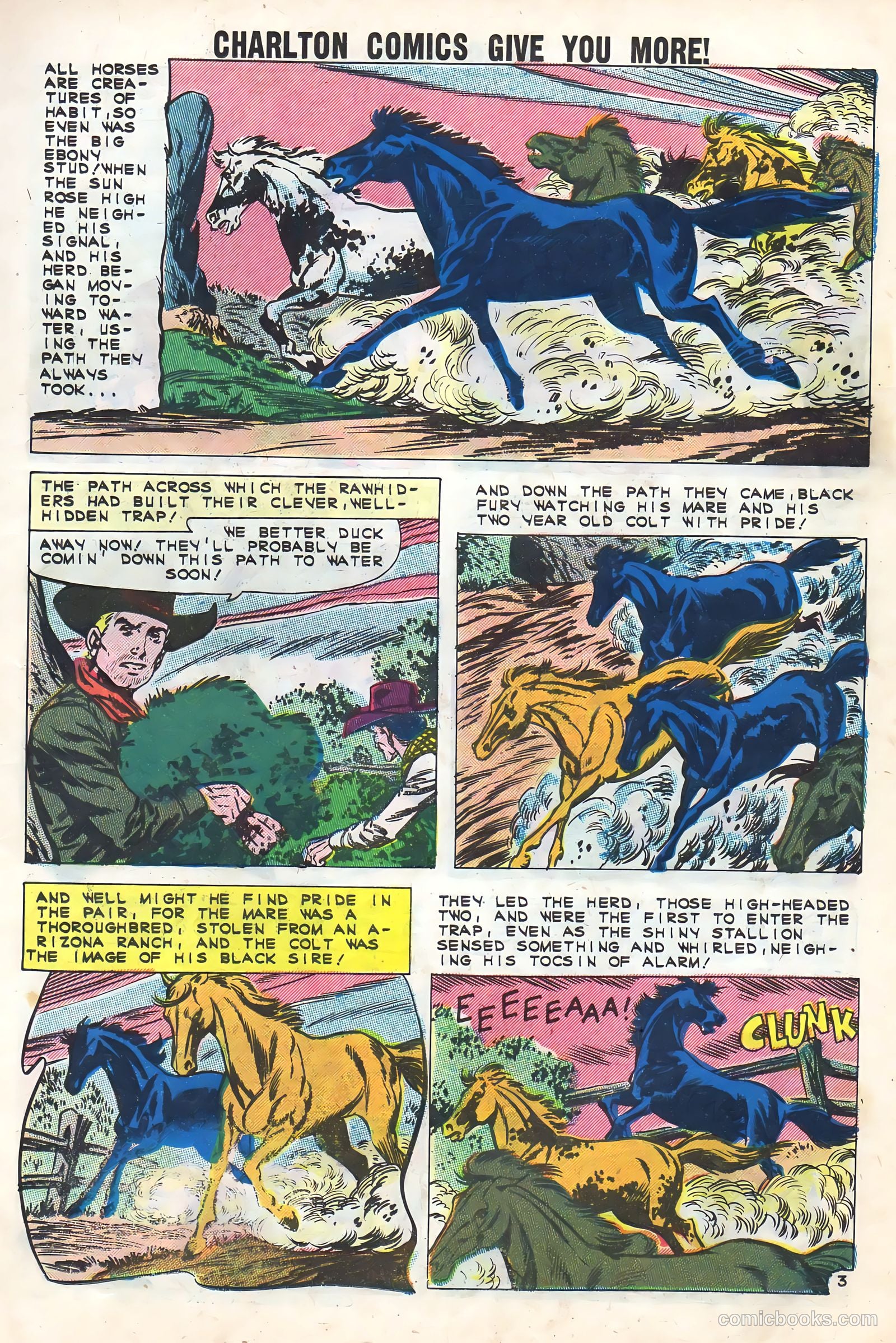 Black Fury #32 — page 13 of 36