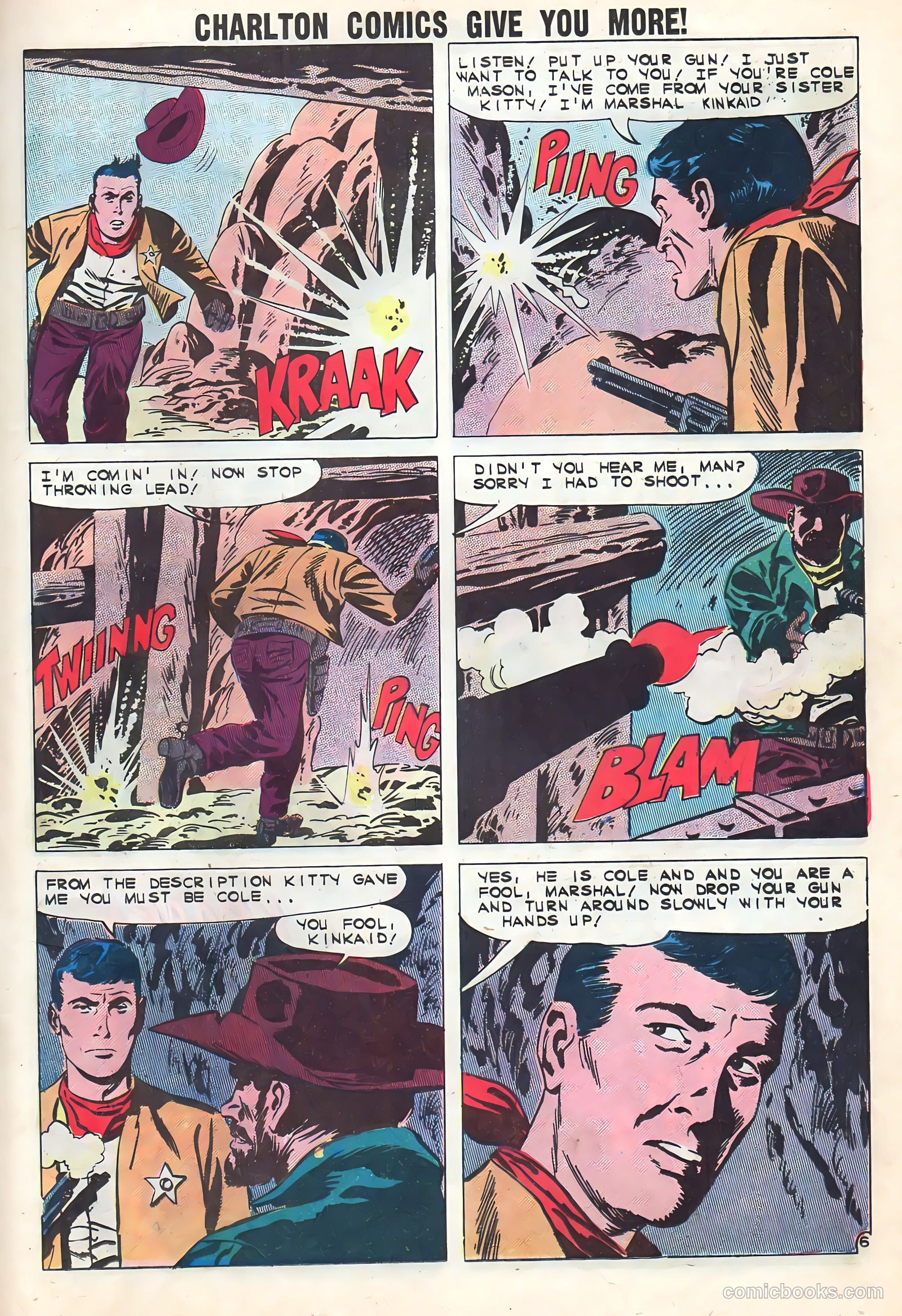 Black Fury #32 — page 25 of 36