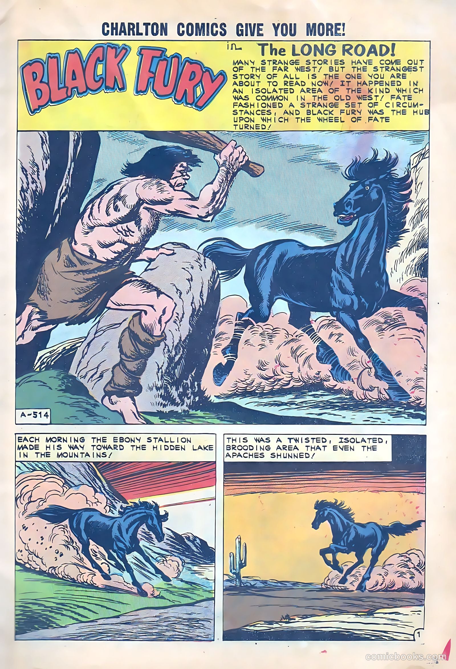 Black Fury #33 — page 4 of 37