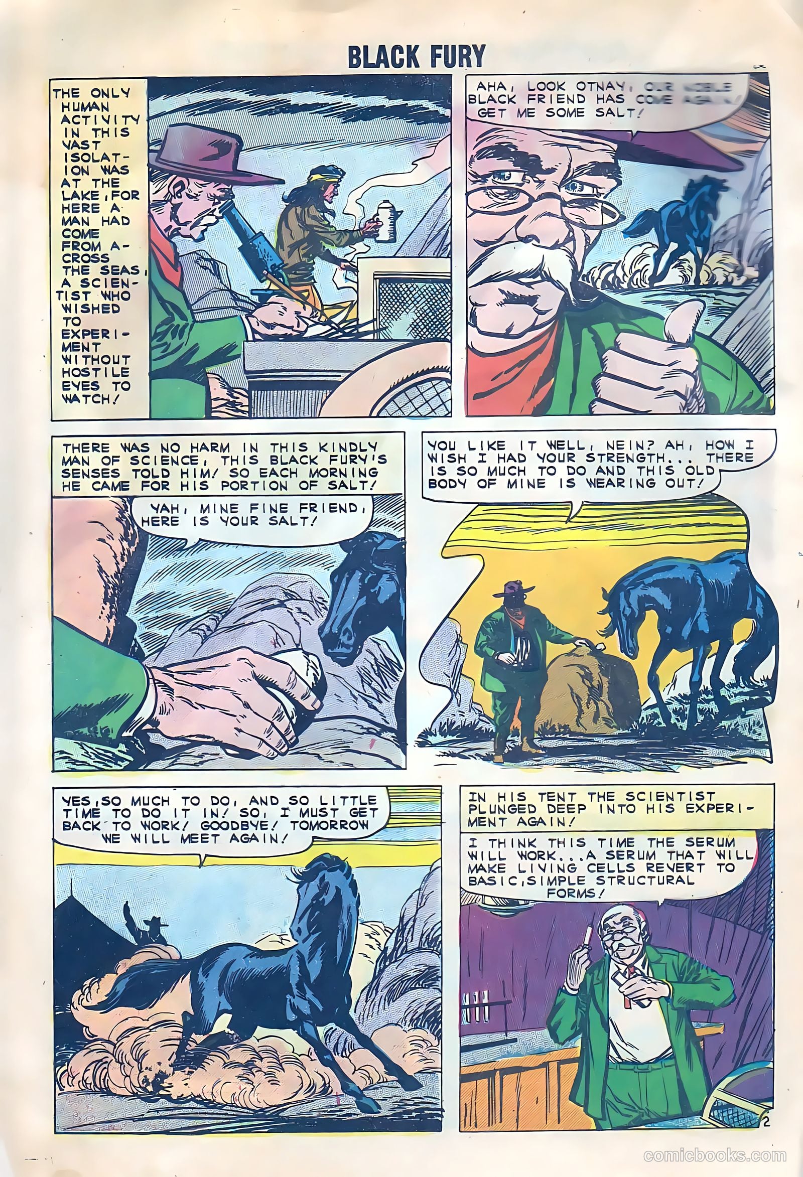 Black Fury #33 — page 5 of 37