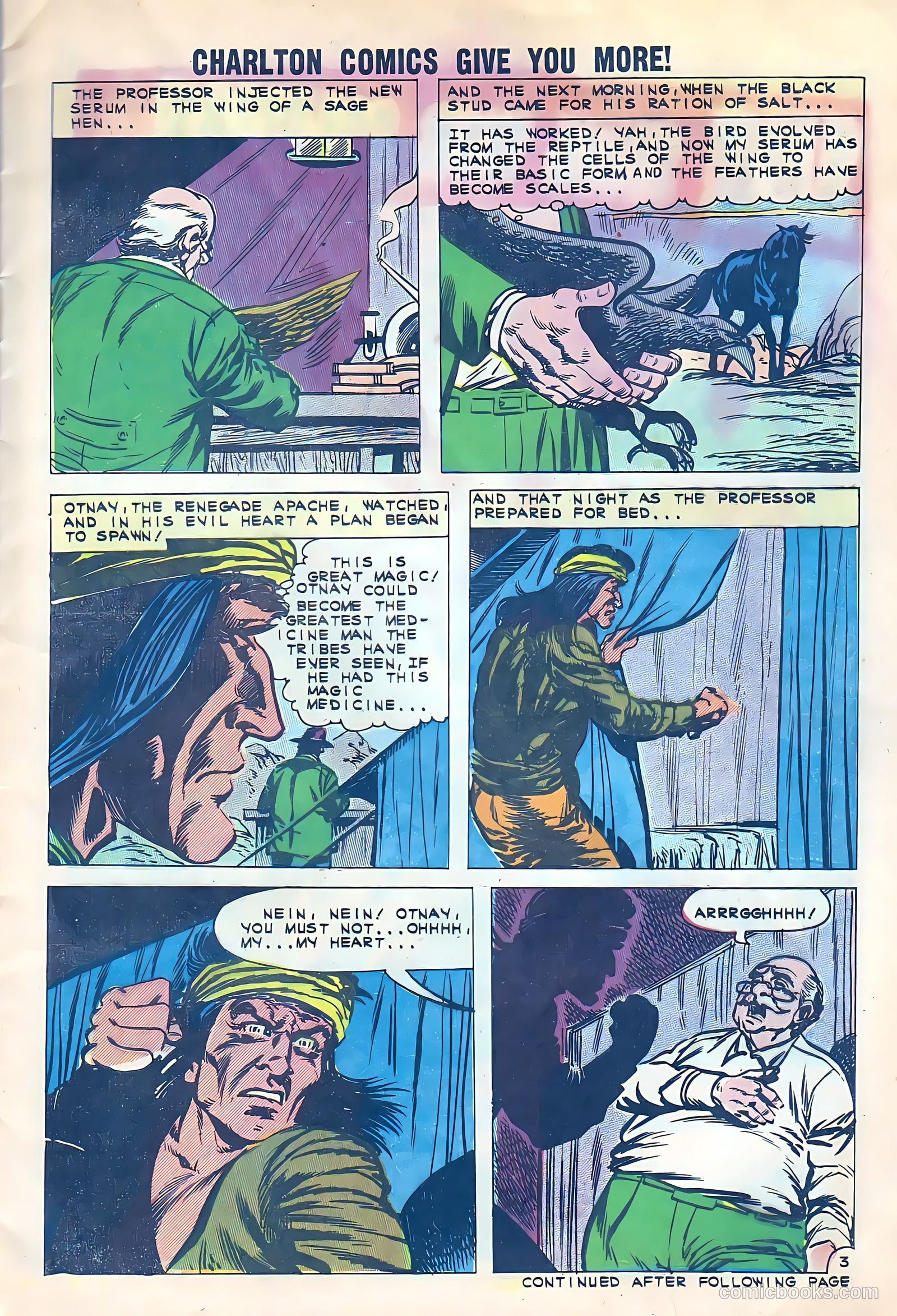Black Fury #33 — page 6 of 37
