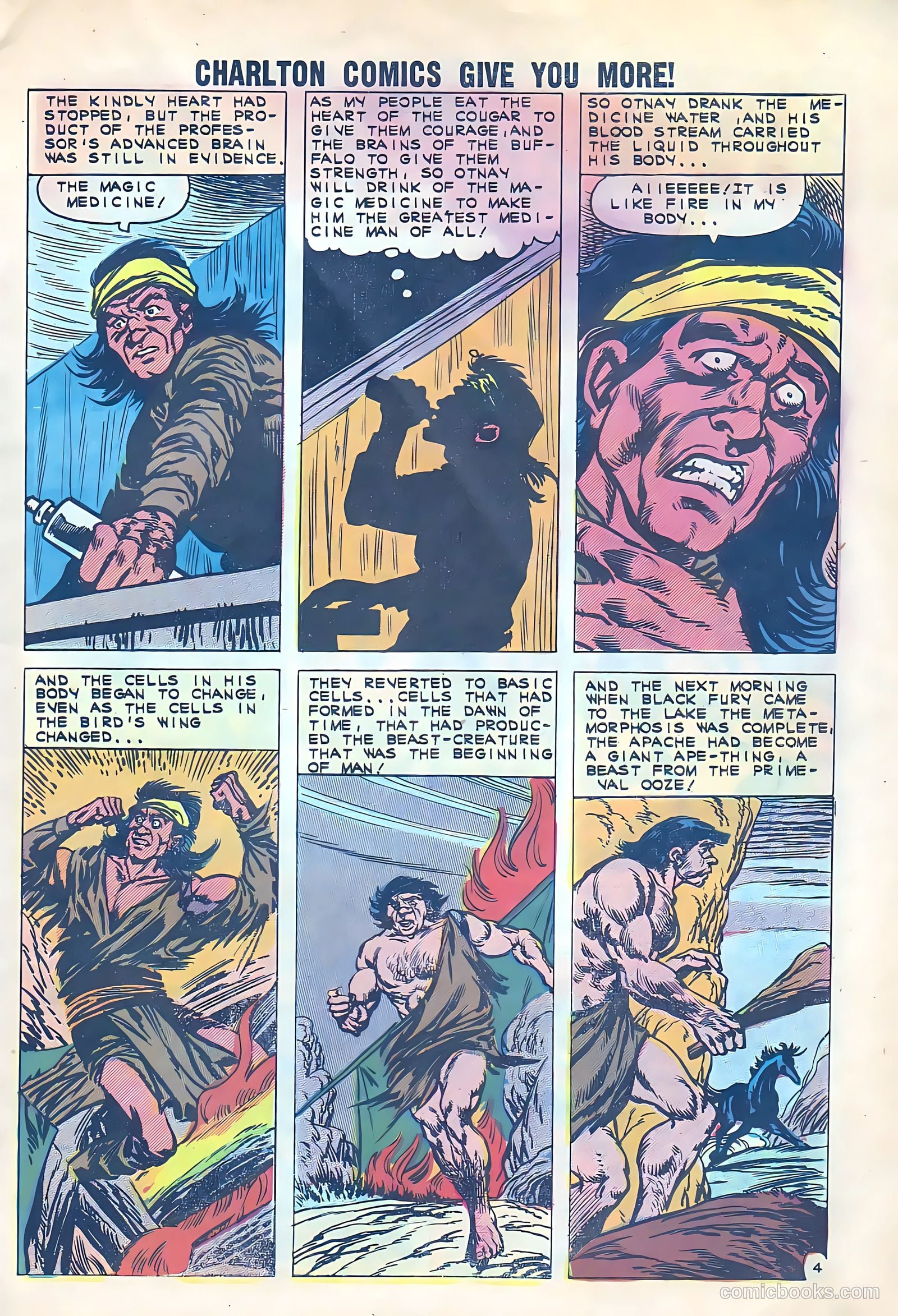 Black Fury #33 — page 8 of 37