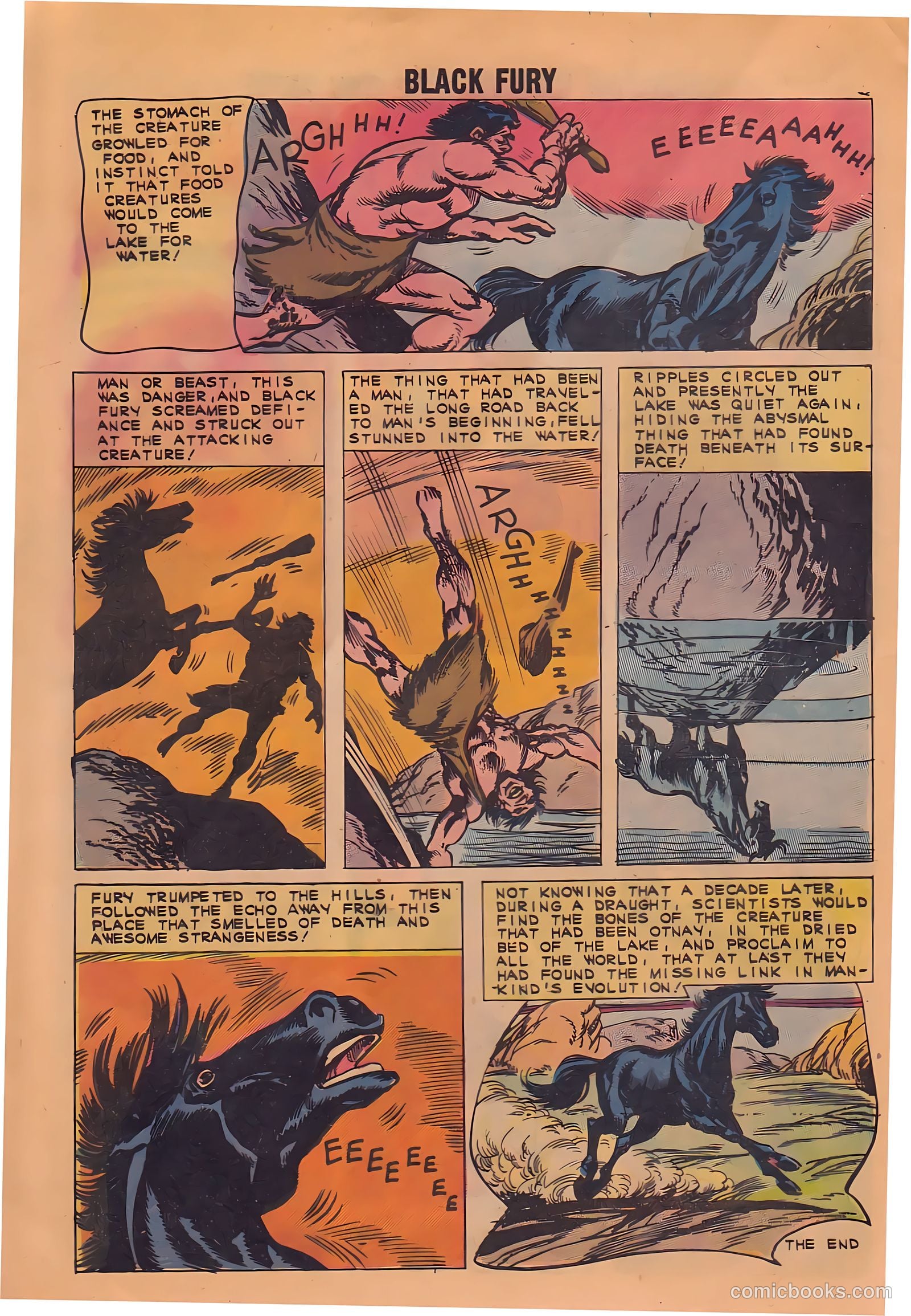 Black Fury #33 — page 9 of 37