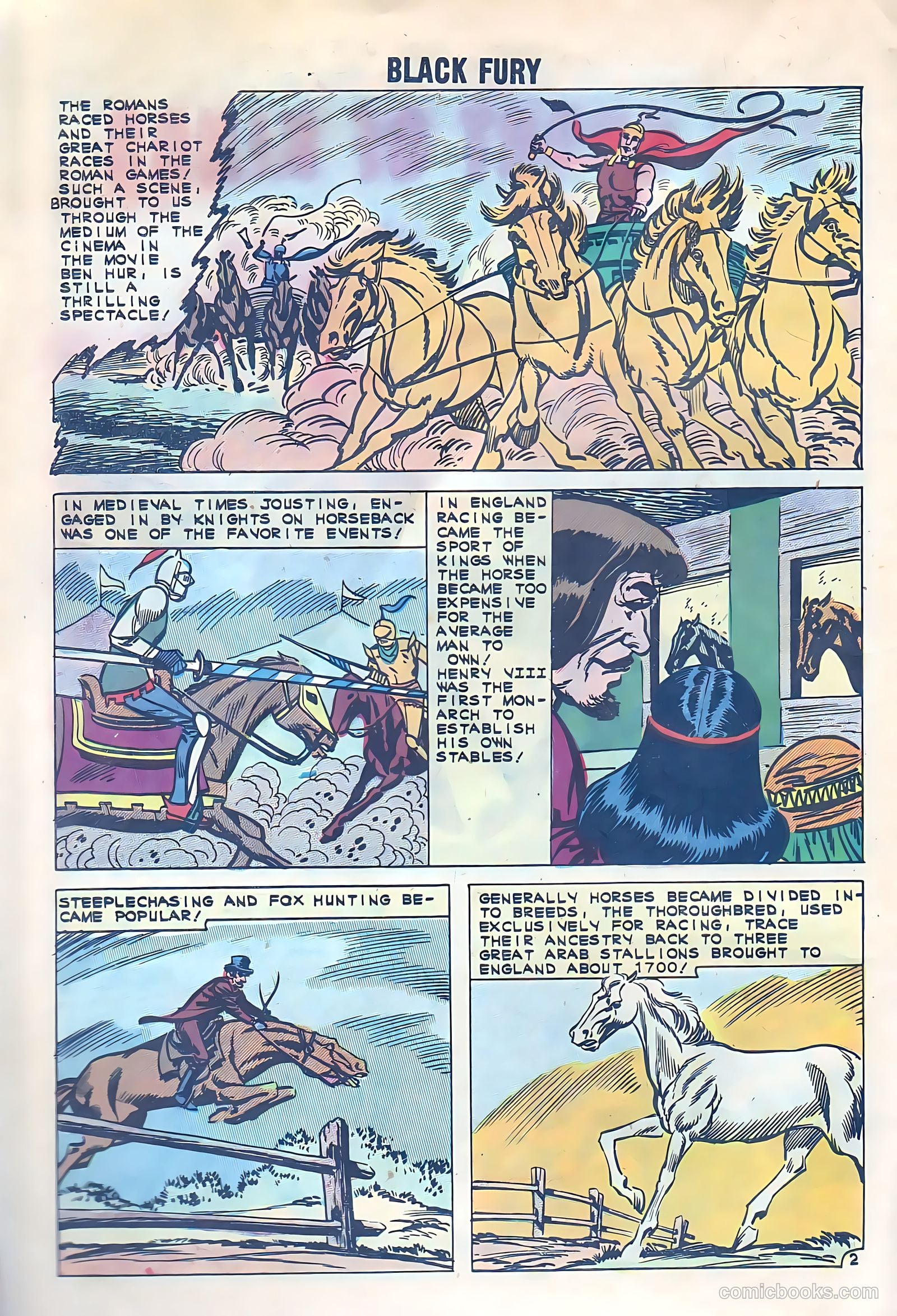 Black Fury #33 — page 11 of 37