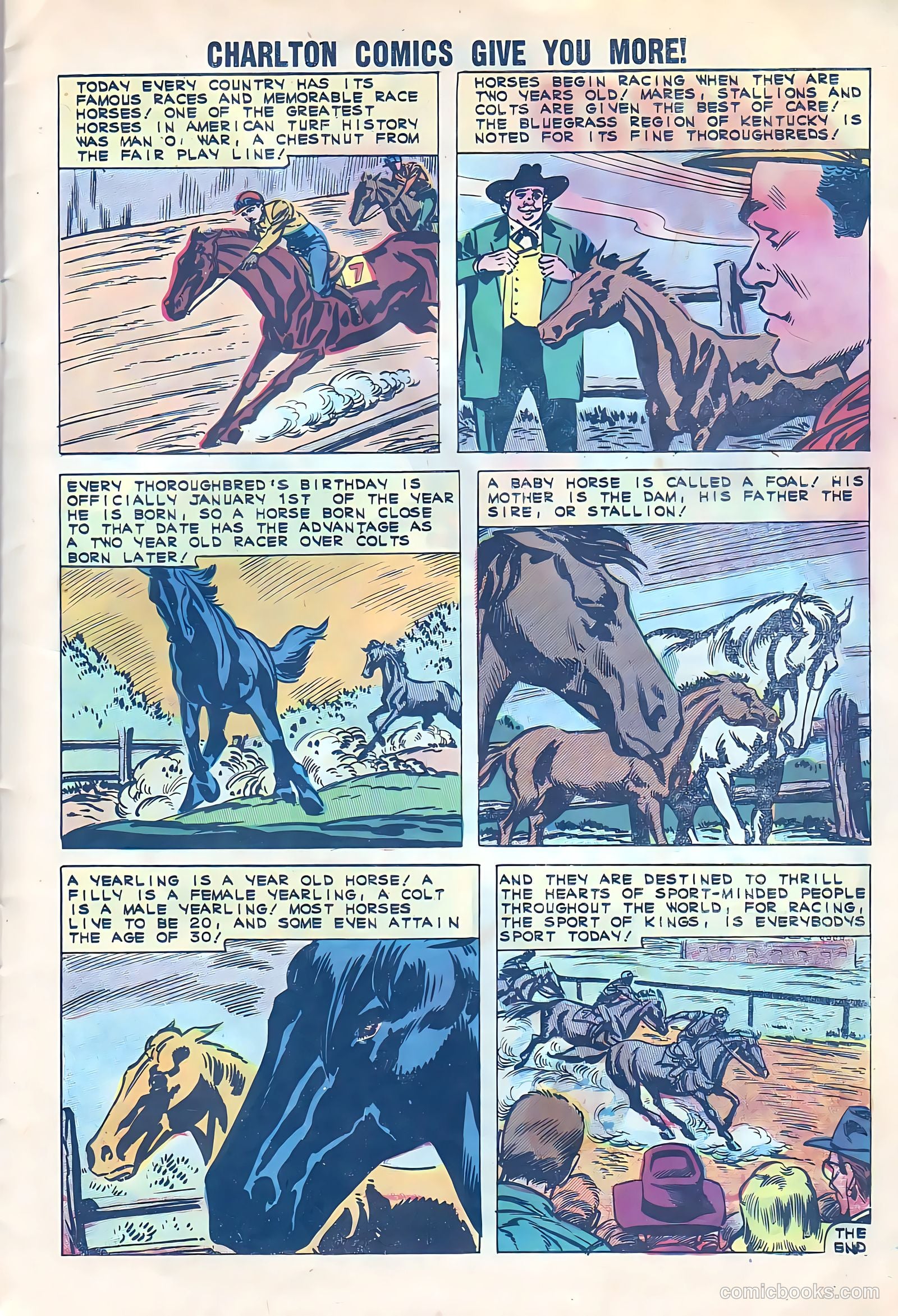 Black Fury #33 — page 12 of 37
