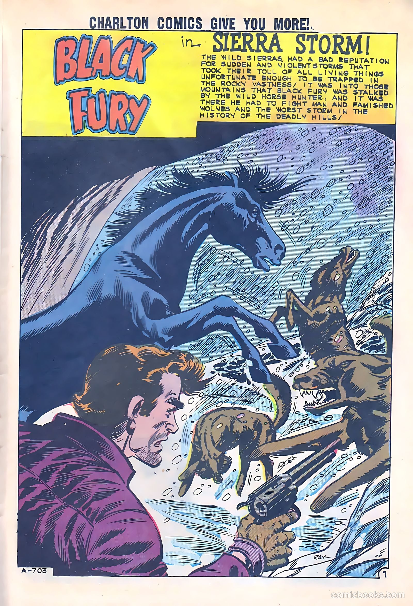 Black Fury #33 — page 24 of 37