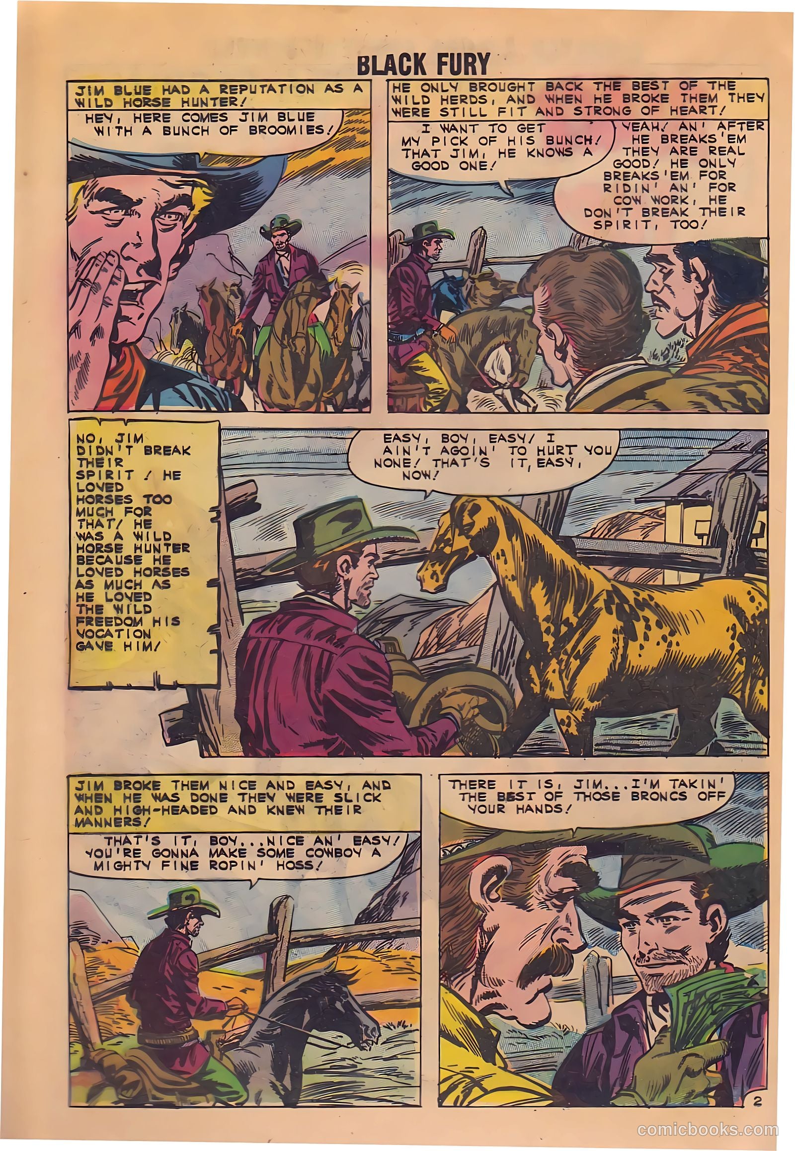 Black Fury #33 — page 25 of 37