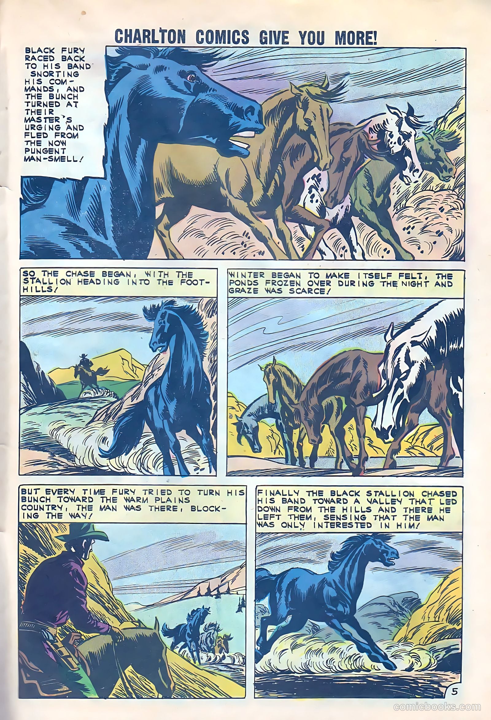 Black Fury #33 — page 28 of 37