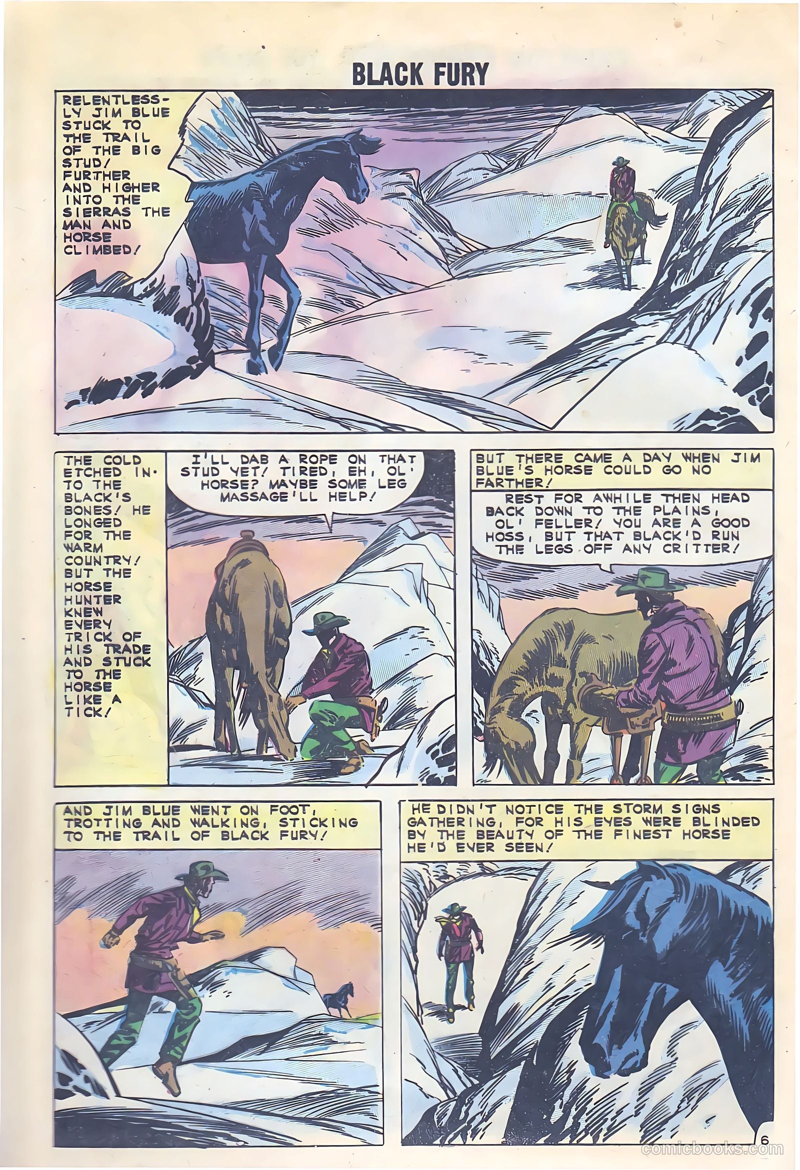 Black Fury #33 — page 29 of 37